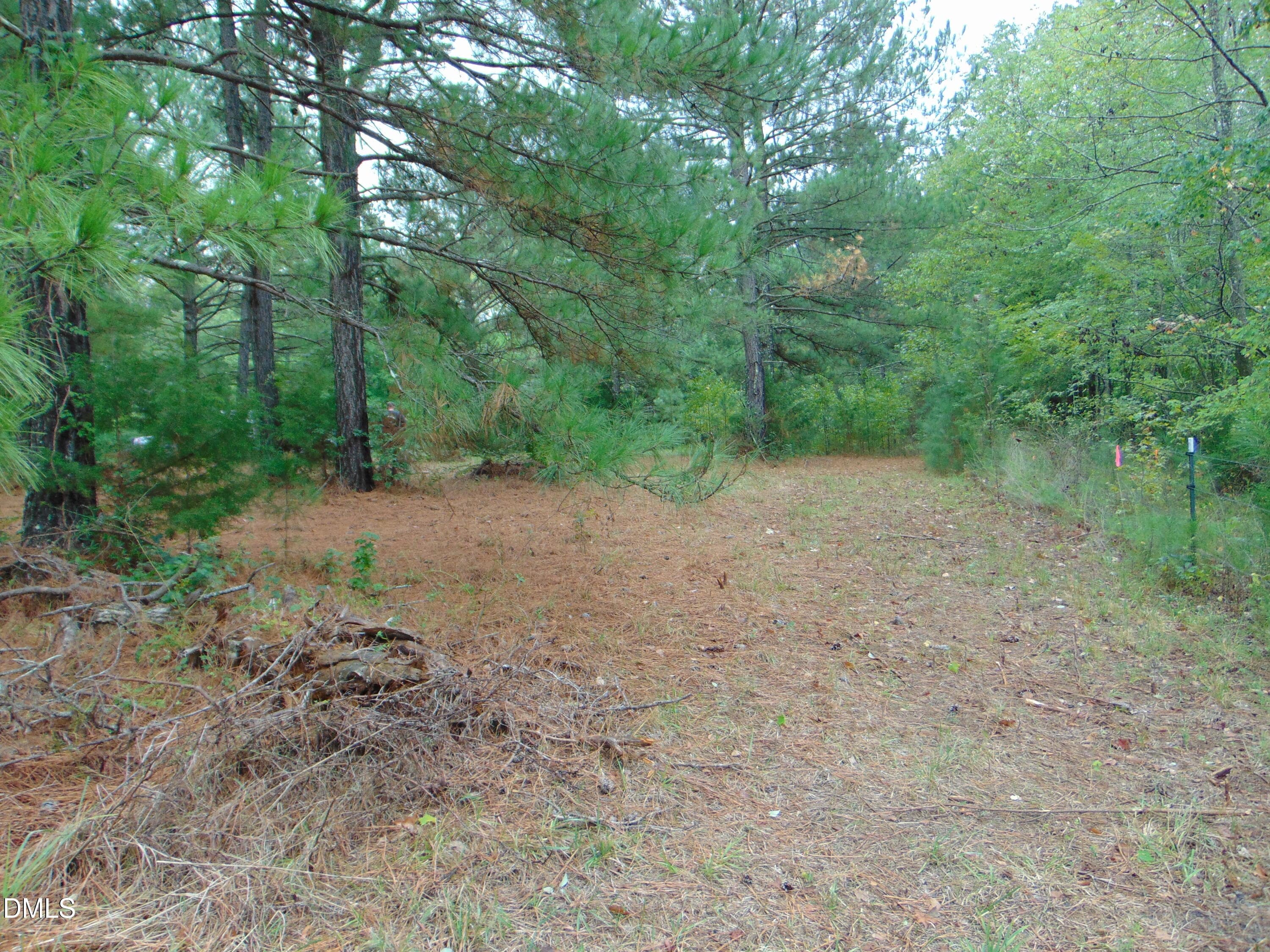 DSC01623 - 0 County Home Rd., Yanceyville, NC 27379