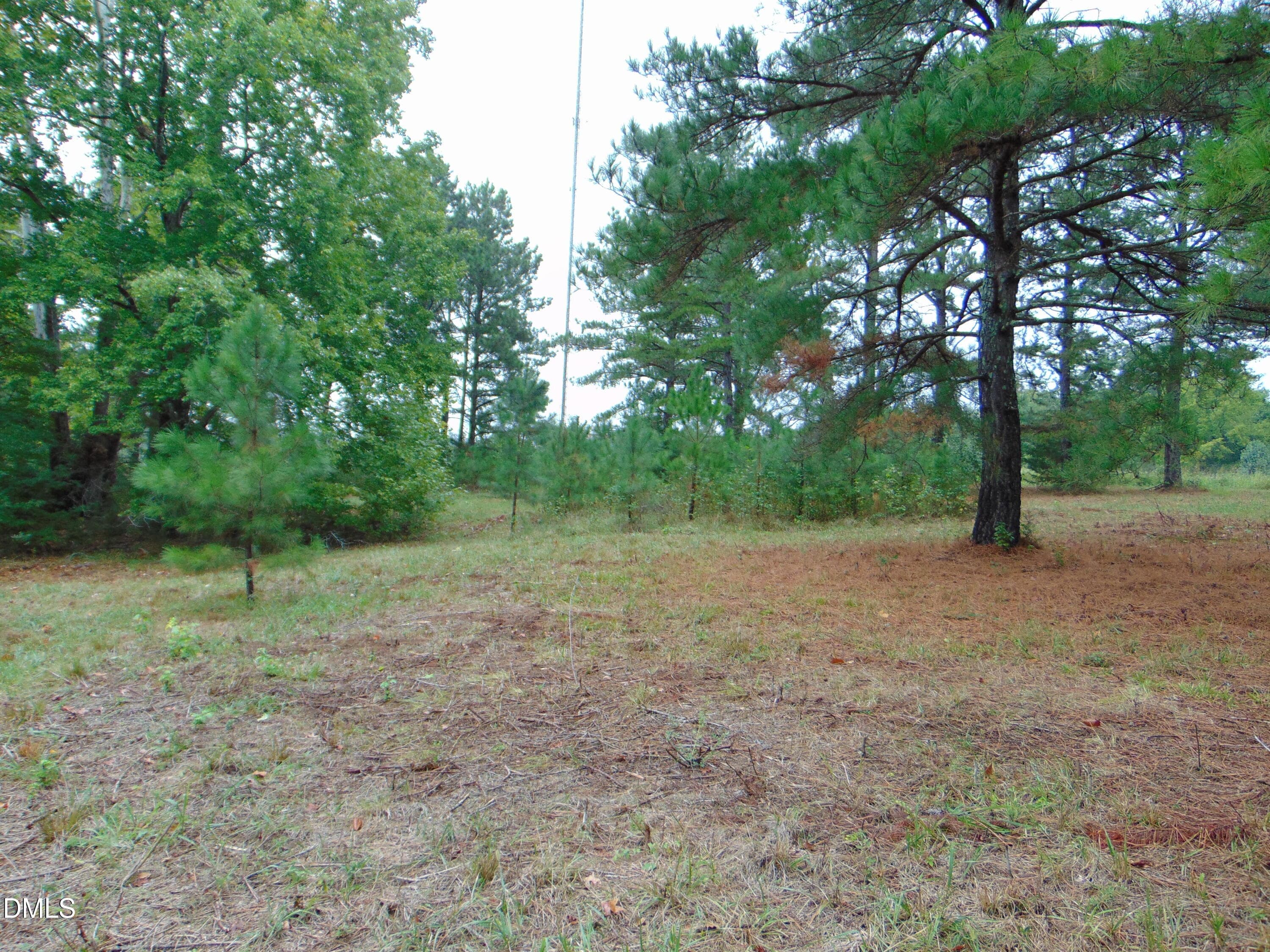 DSC01624 - 0 County Home Rd., Yanceyville, NC 27379