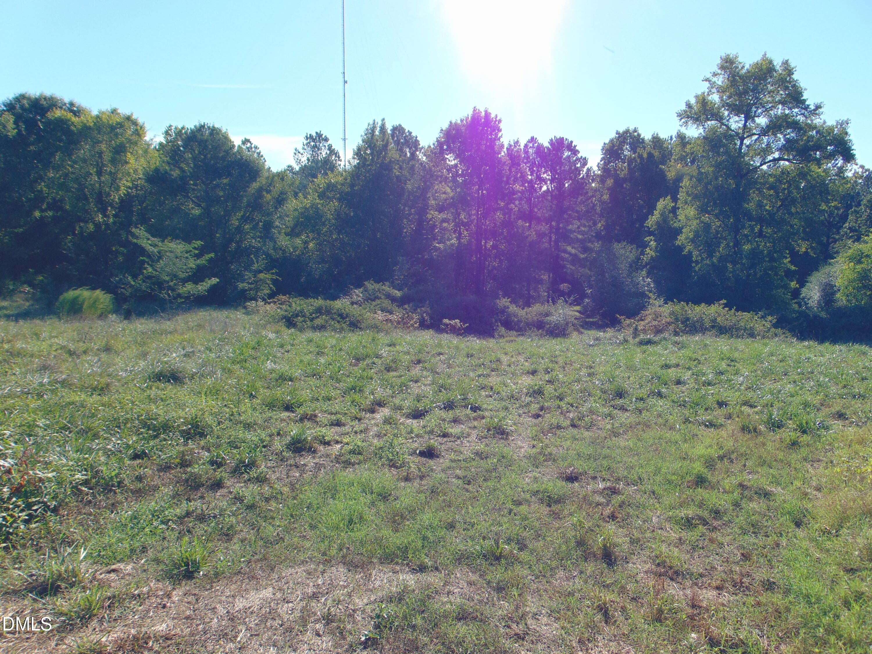 DSC01639 - 0 County Home Rd., Yanceyville, NC 27379