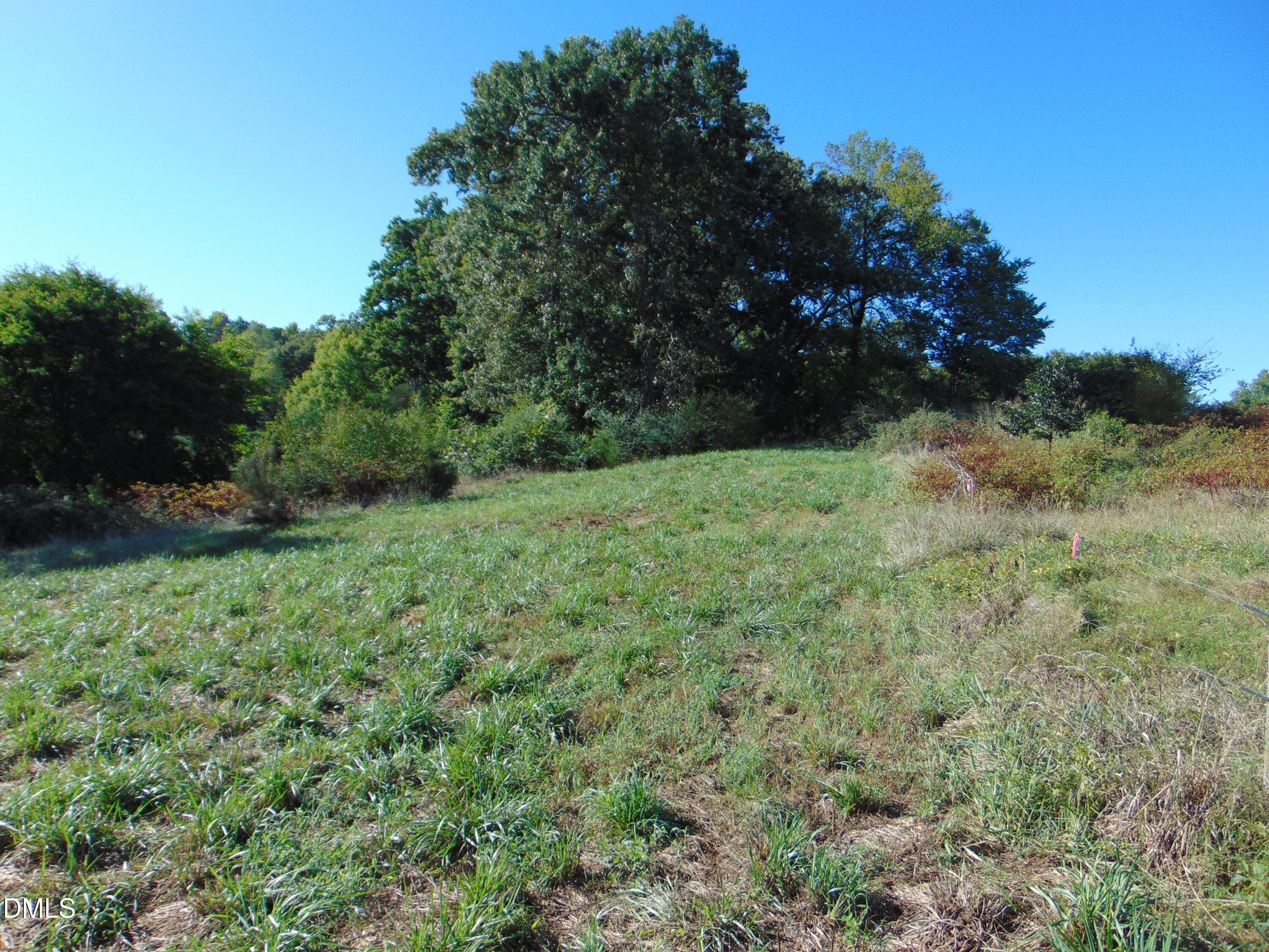 DSC01640 - 0 County Home Rd., Yanceyville, NC 27379