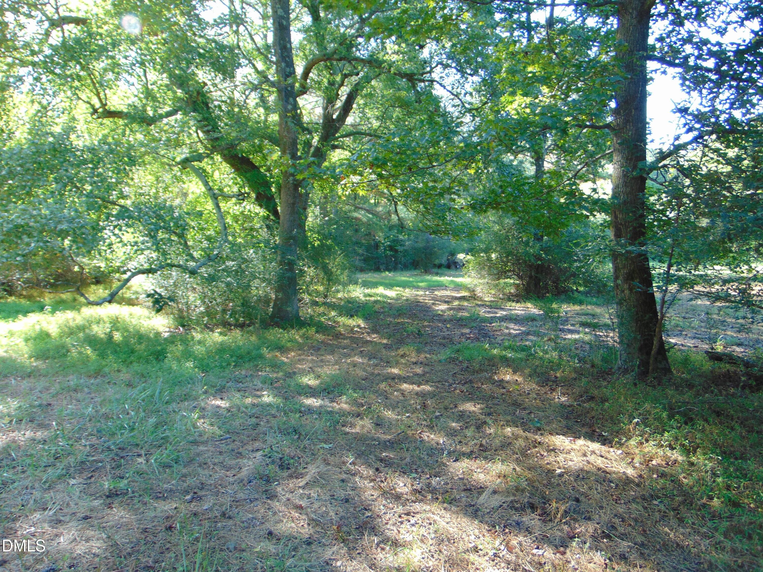 DSC01641 - 0 County Home Rd., Yanceyville, NC 27379