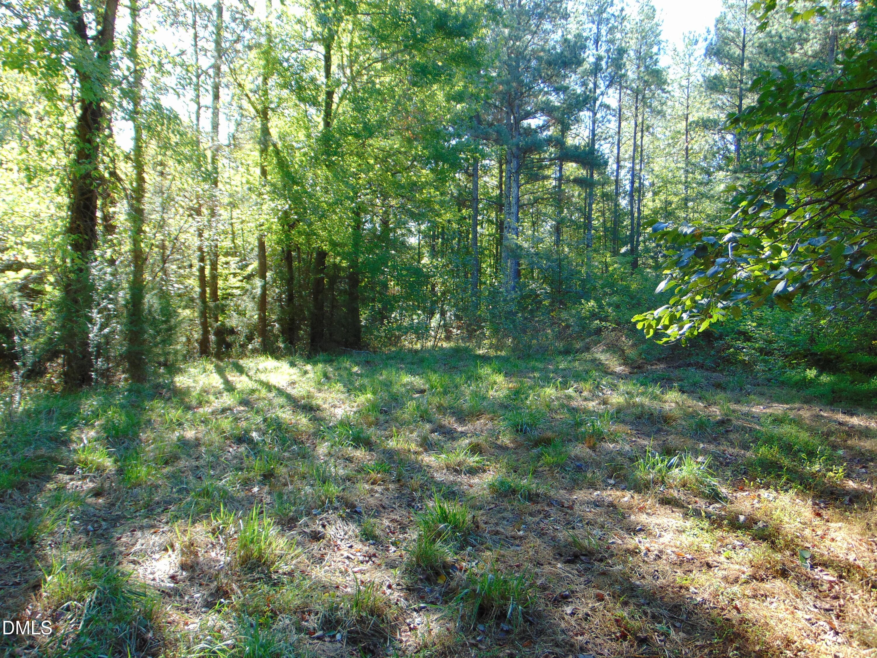 DSC01642 - 0 County Home Rd., Yanceyville, NC 27379