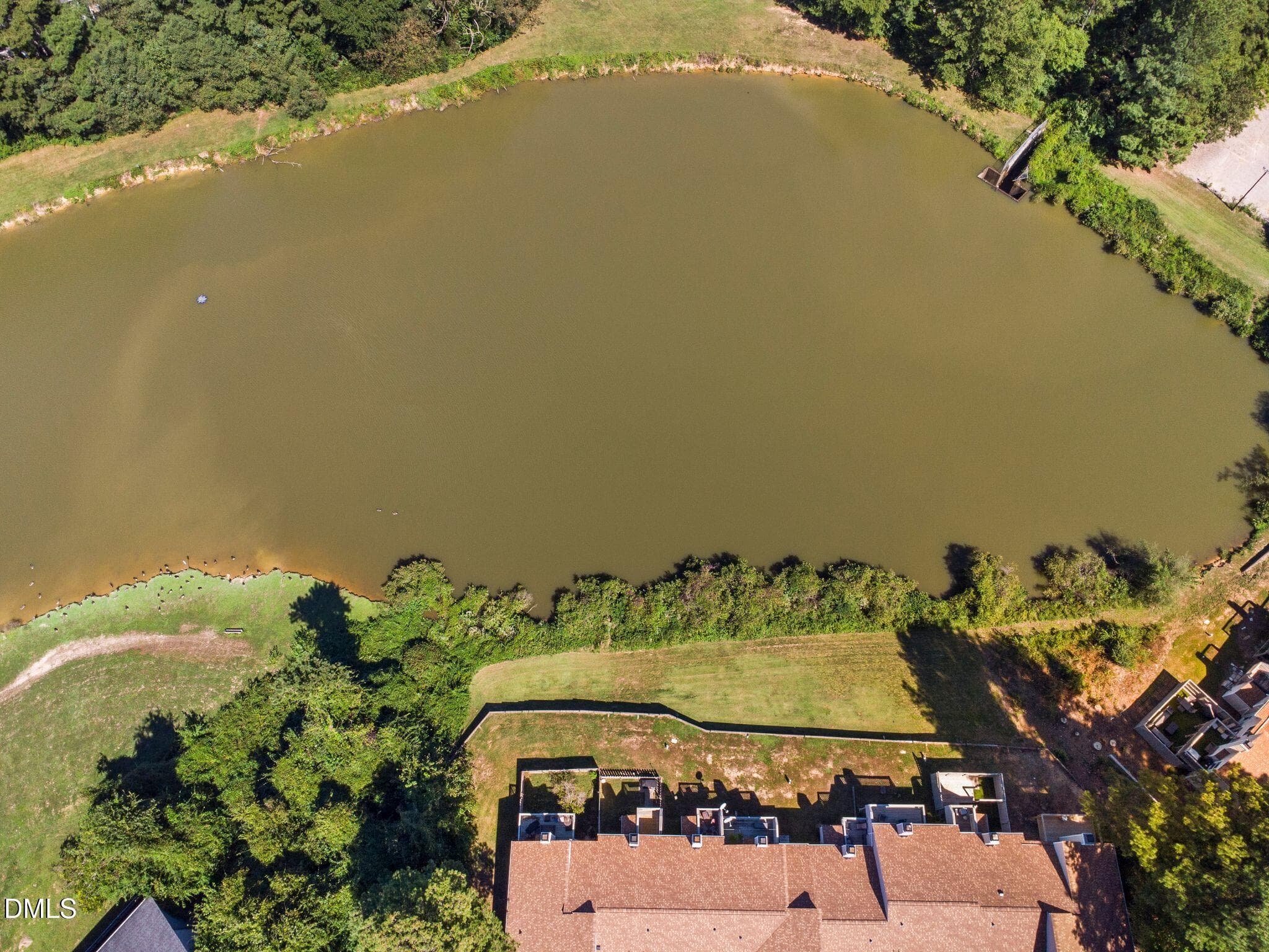 DJI_0065 - 3904 Summerwood Court, Raleigh, NC 27613