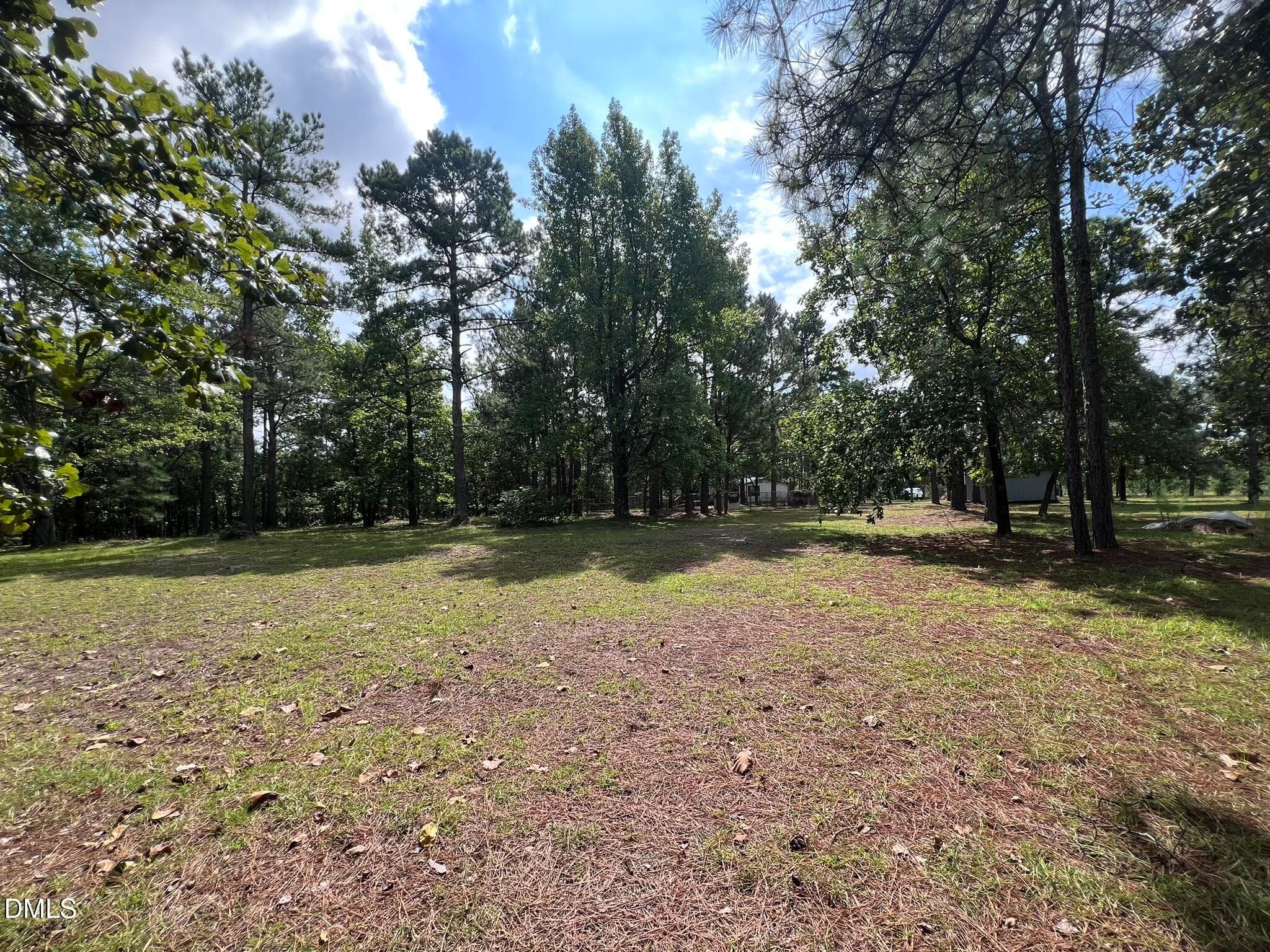 IMG_6378 - 471 Kramer Road, Lillington, NC 27546