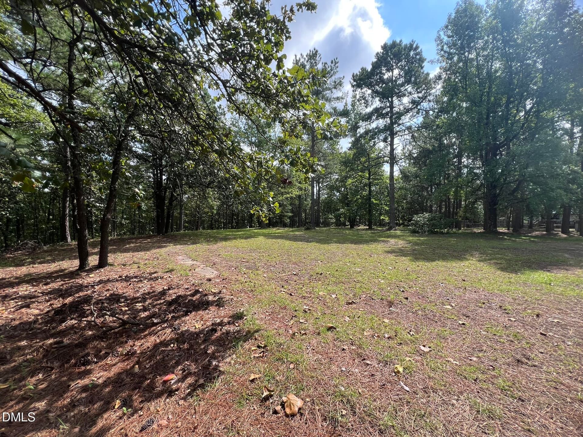 IMG_6379 - 471 Kramer Road, Lillington, NC 27546