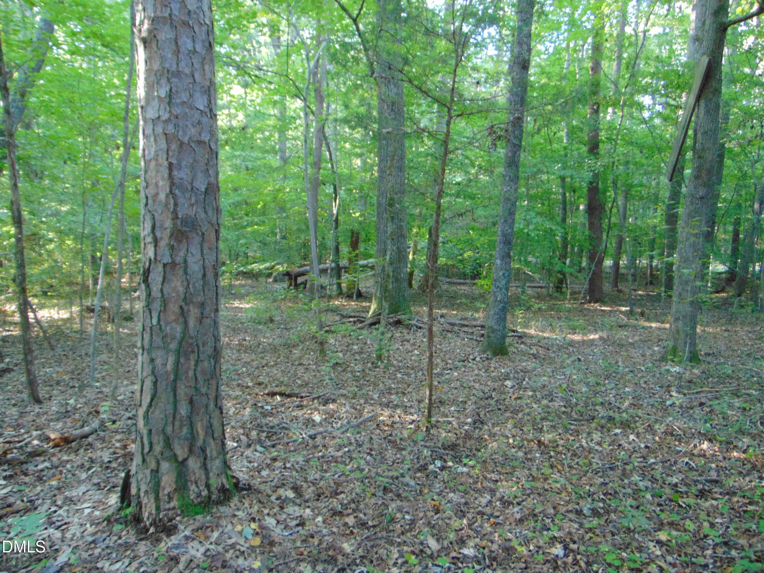DSC01629 - 0 Allen Jarrett Drive, Mebane, NC 27302, Mebane