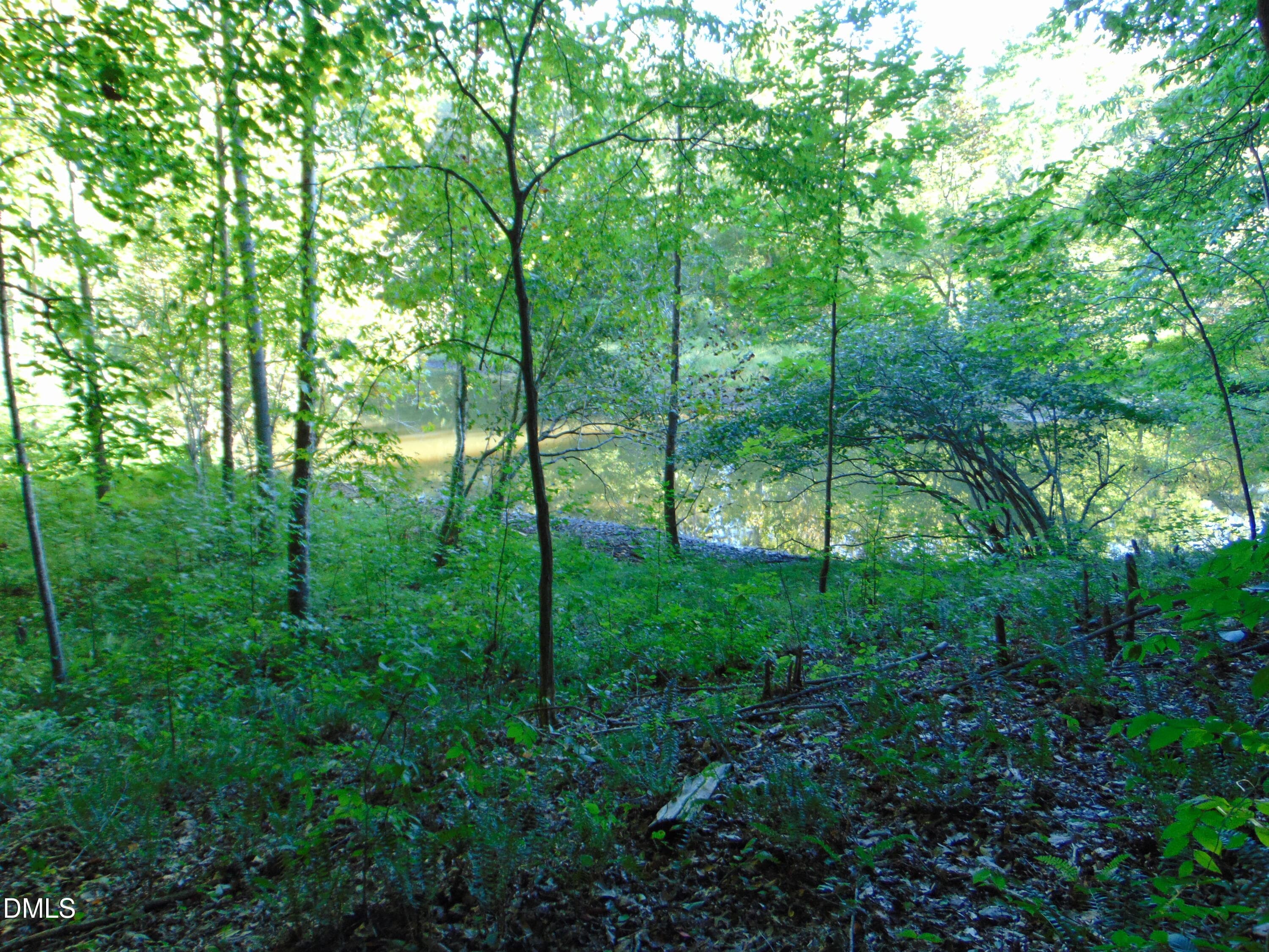DSC01631 - 0 Allen Jarrett Drive, Mebane, NC 27302, Mebane
