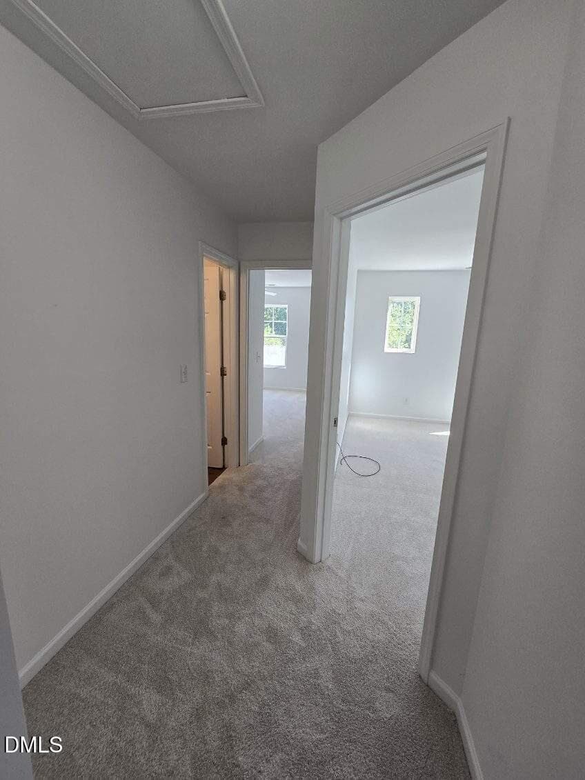 Rooms Spaced apart - 3723 Charleston Park Drive, Raleigh, NC 27604