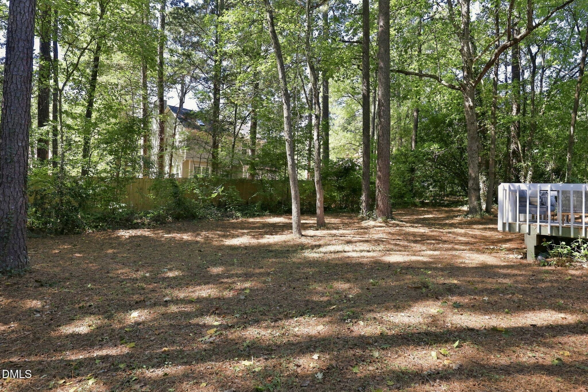 49-web-or-mls-IMG_9530 - 104 Shady Point Court, Durham, NC 27703