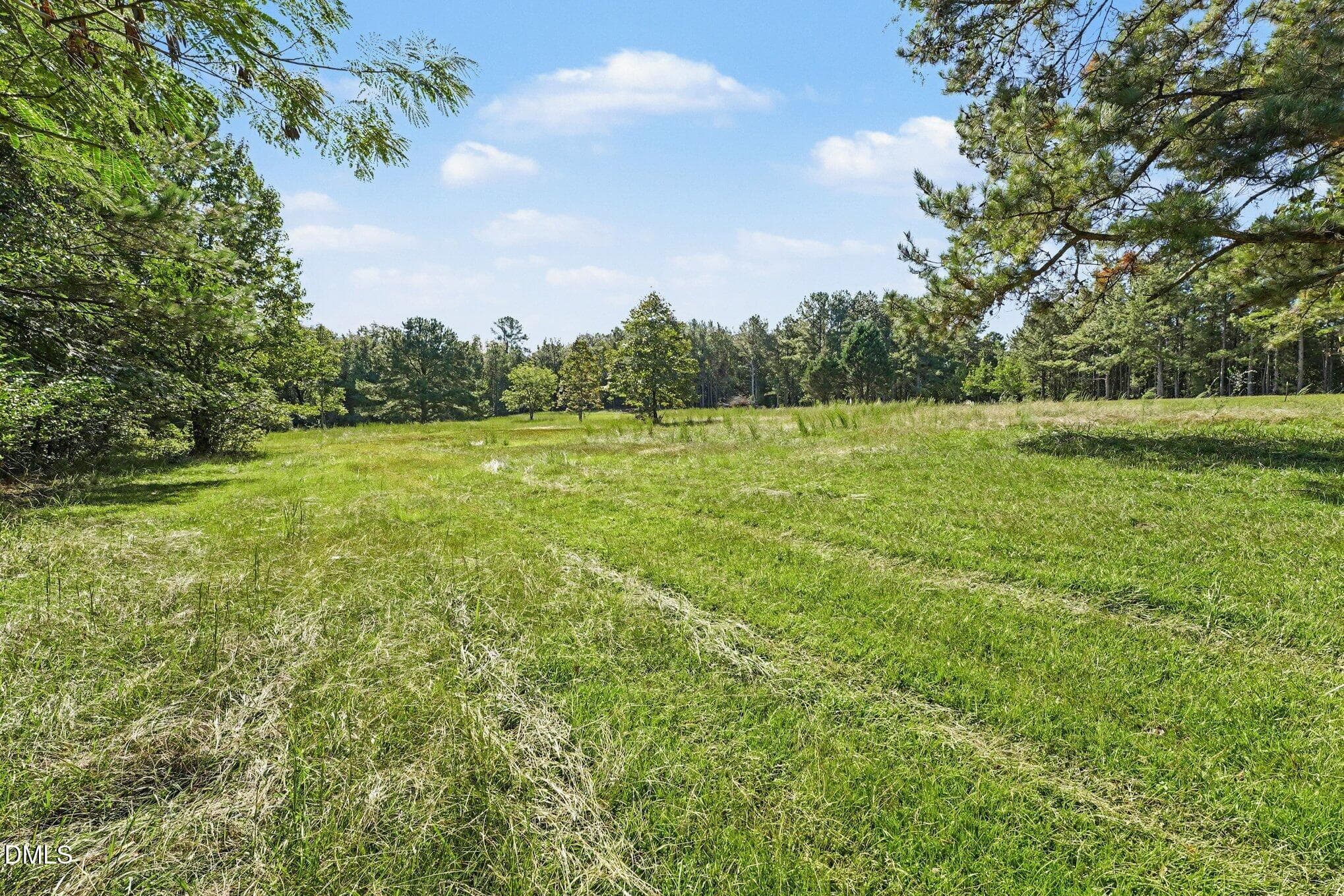 009_file_1539 - 190 Grady W Lane, Carthage, NC 28327