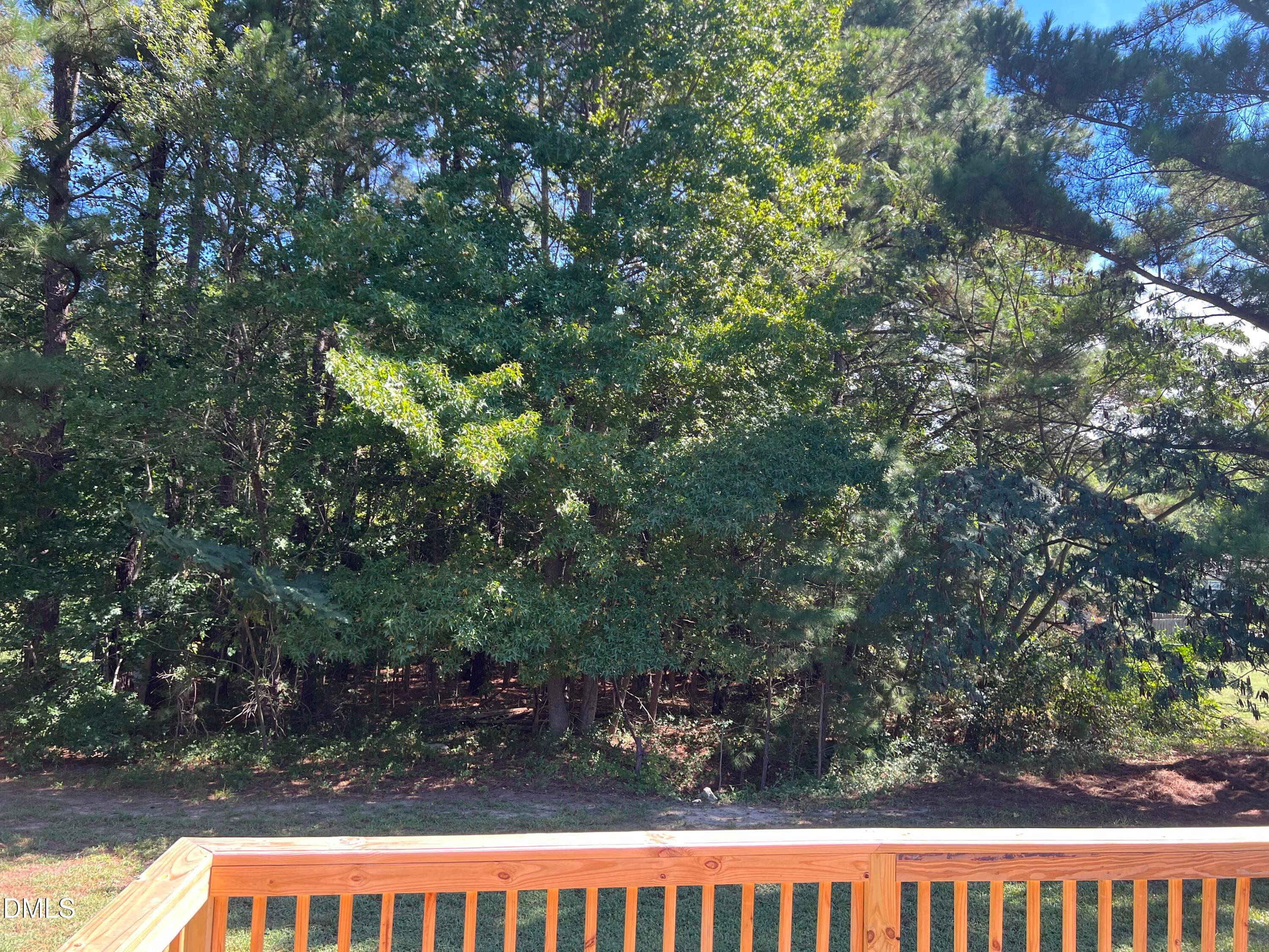 IMG_3255 - 45 Buck Ridge Road, Louisburg, NC 27549, Louisburg