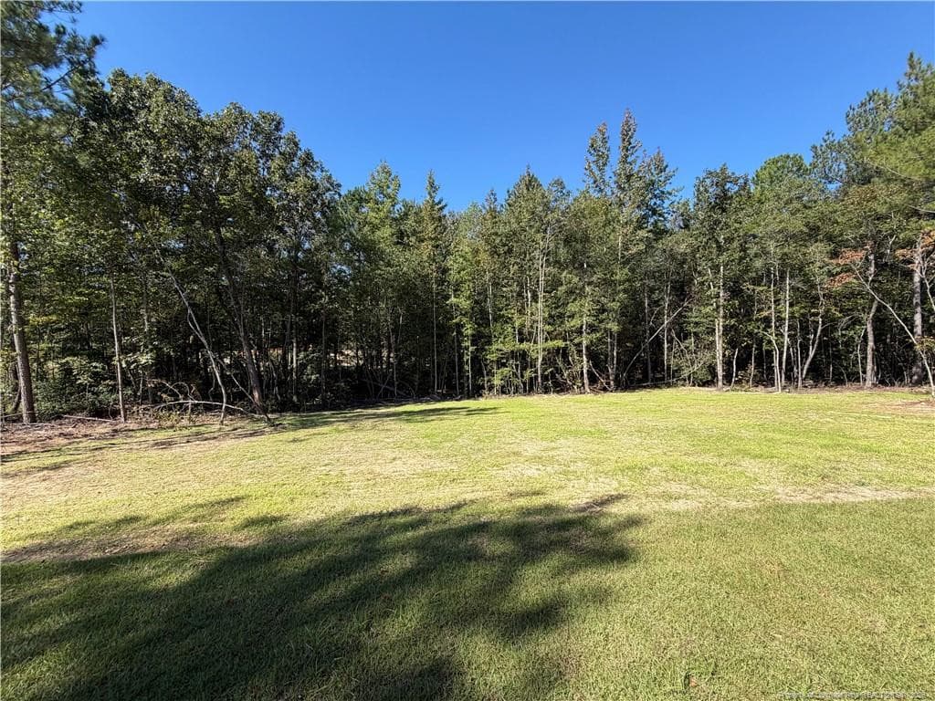 Photo 24 - 630 Grand Griffon Way, Lillington, NC 27546