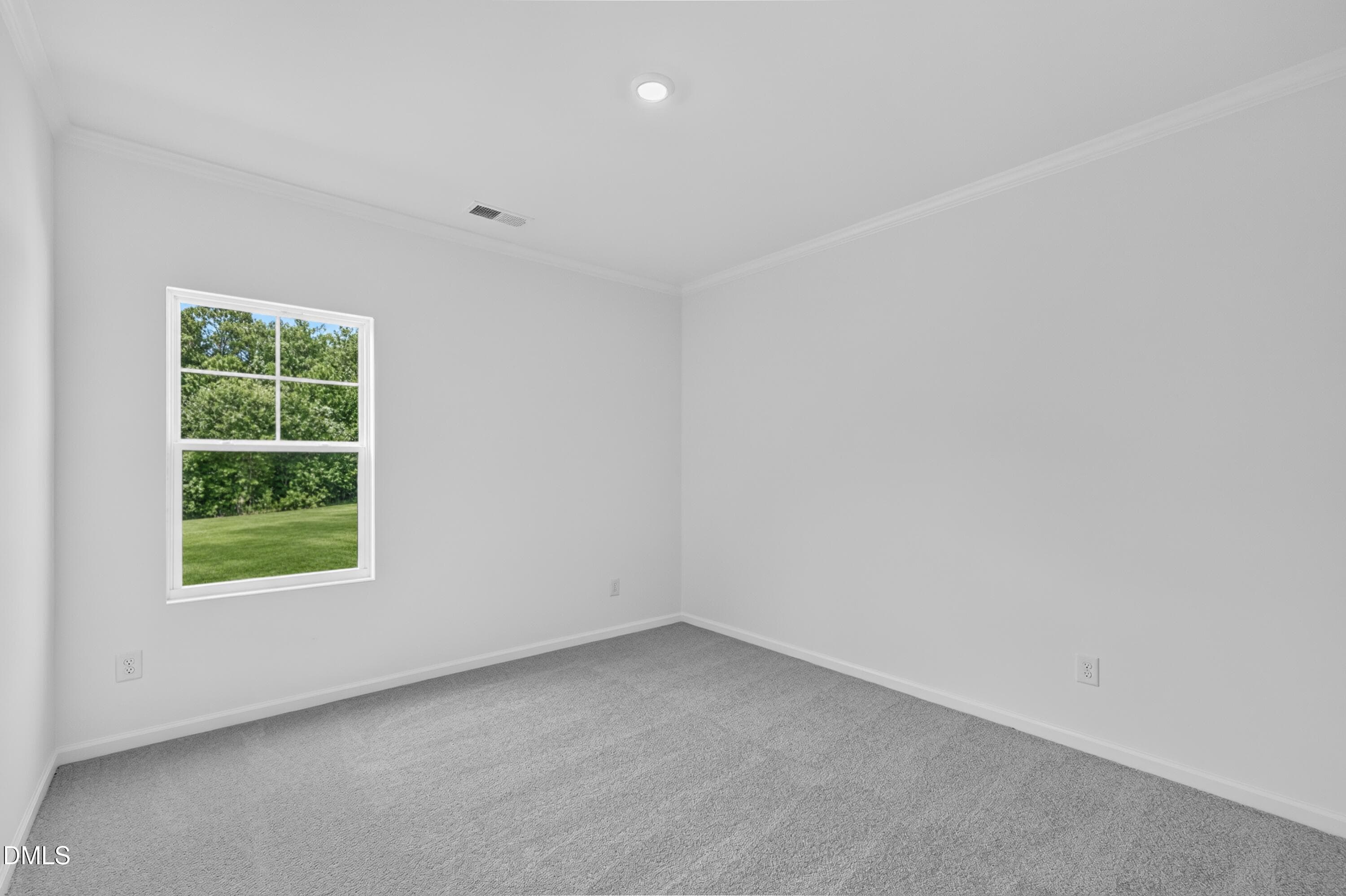 SUN_SherriDownsCrown_Pic_Madison-17 - 120 Tarnet Trail, Angier, NC 27501