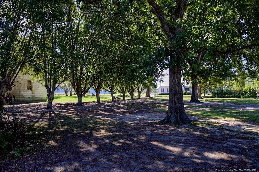 Photo 3 - 926 Mt.Olive Church Road, Lumberton, NC 28360