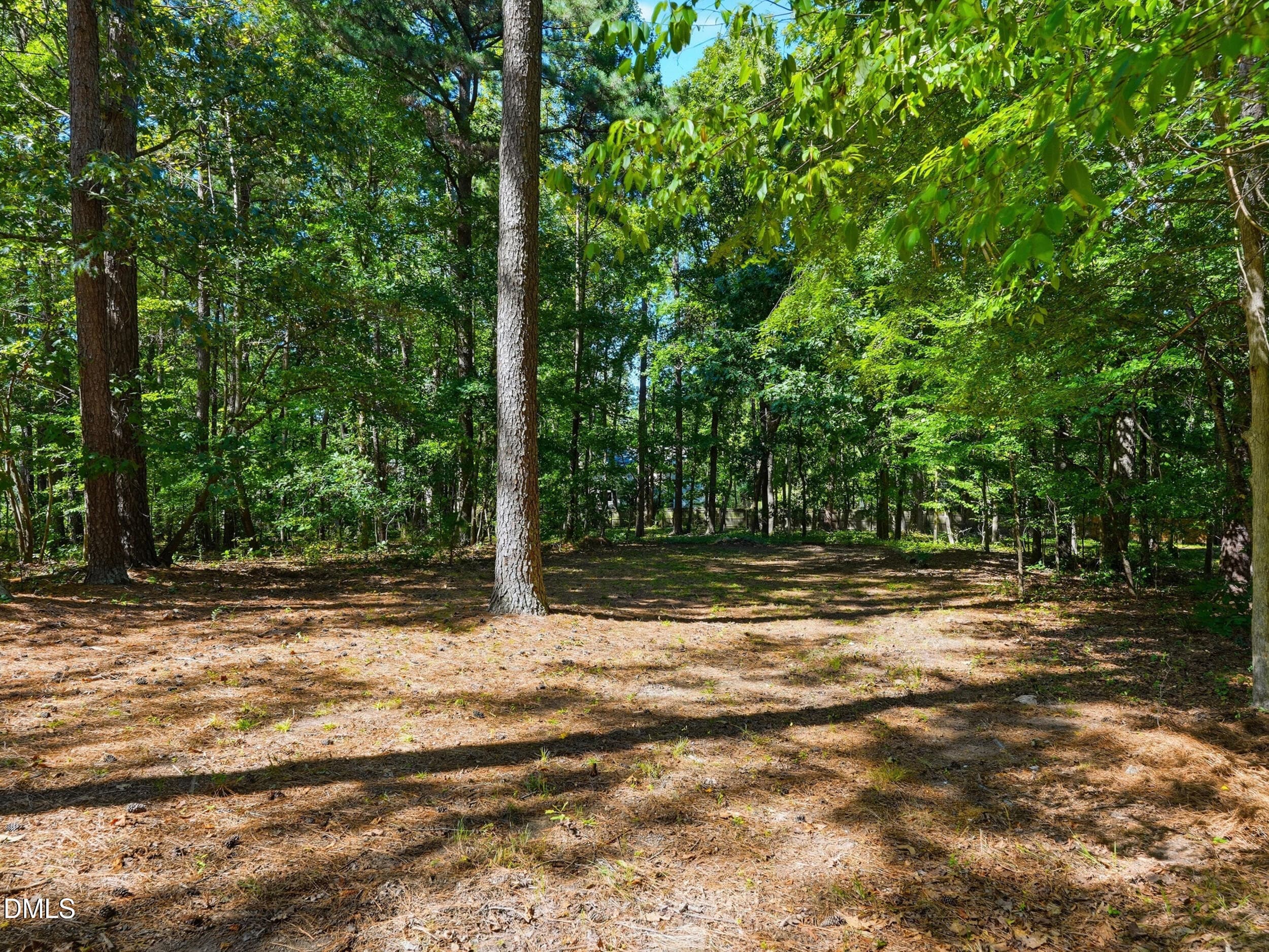 69_pearce-media-123-harmony-hill-ln- 68 - 123 Harmony Hill Lane, Cary, NC 27513, Cary