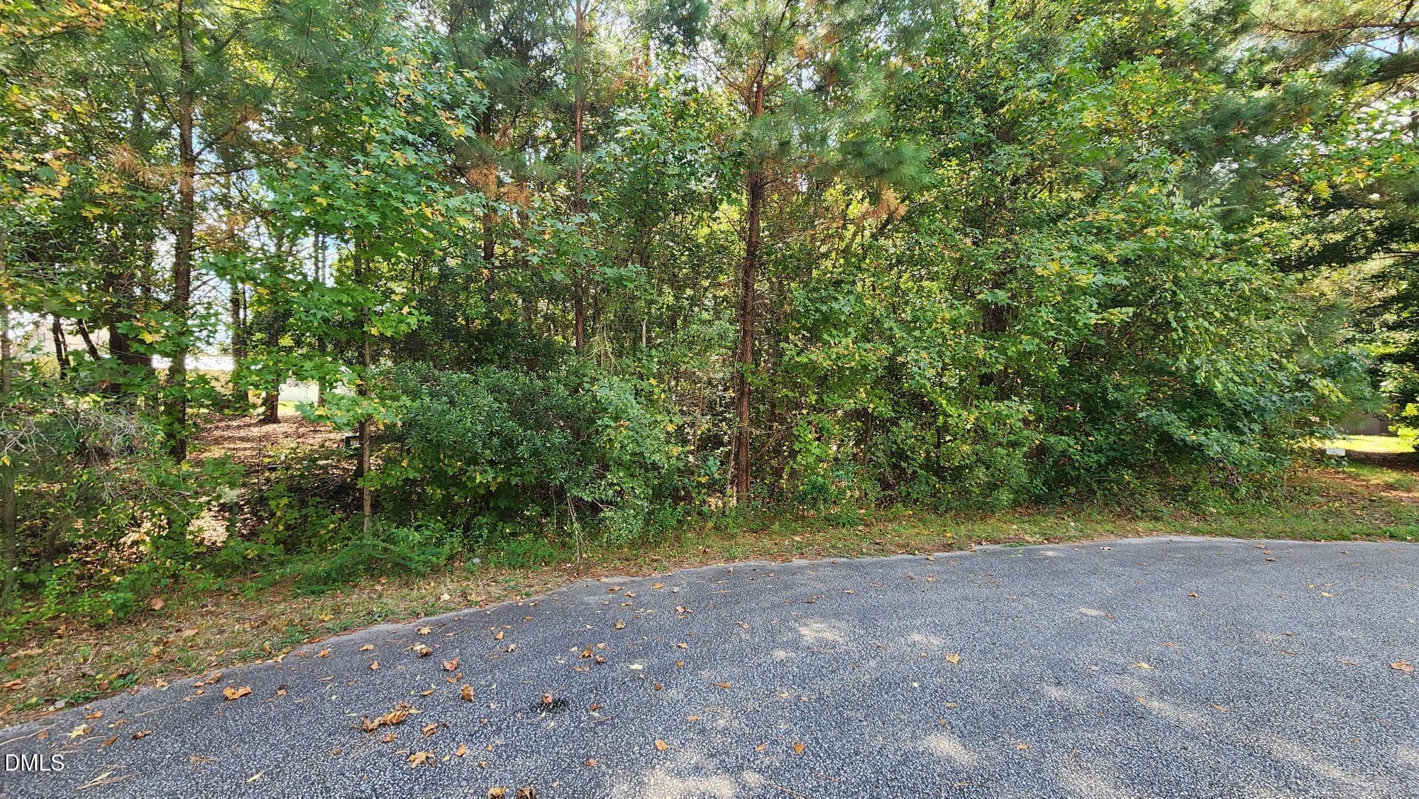 1000031468 - 257 Fairhaven Drive, Zebulon, NC 27597