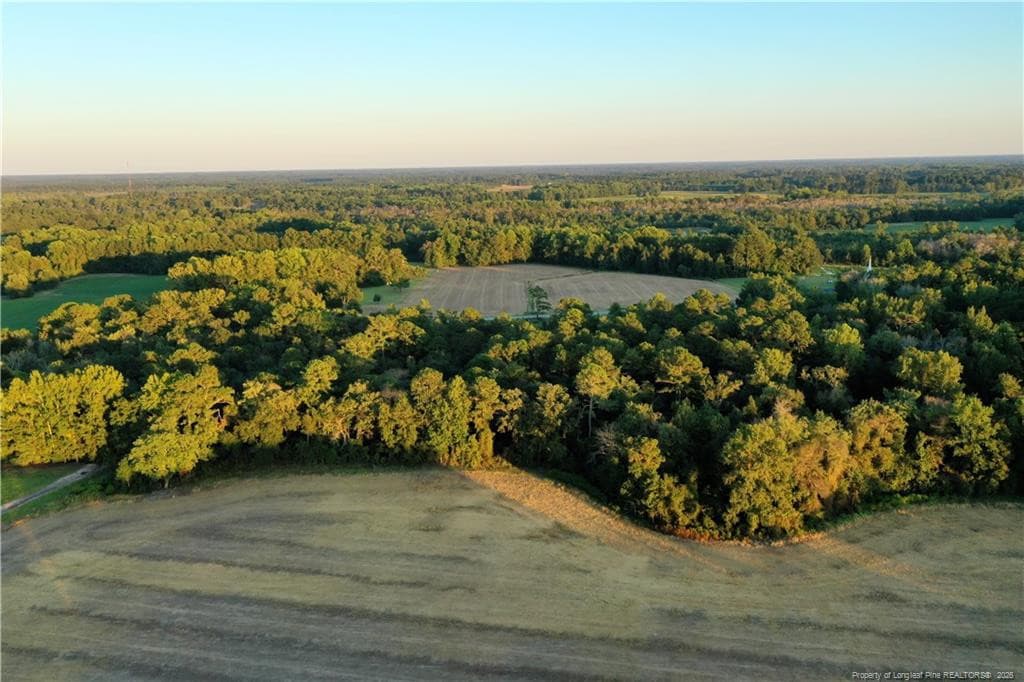 Photo 10 - Tar Heel Rd Road, Lumberton, NC 28358