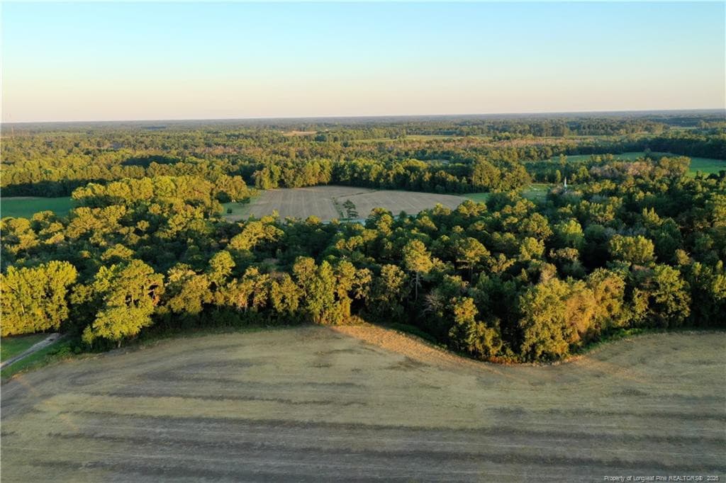 Photo 11 - Tar Heel Rd Road, Lumberton, NC 28358