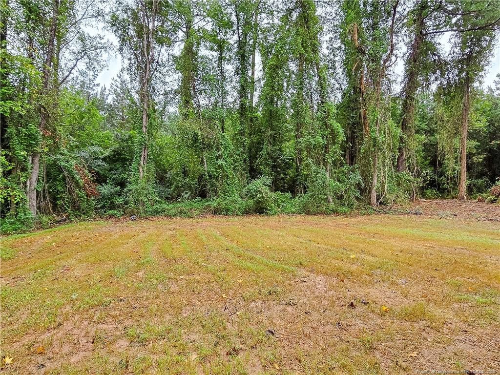 Photo 34 - 490 Needmore Road, Carthage, NC 28327