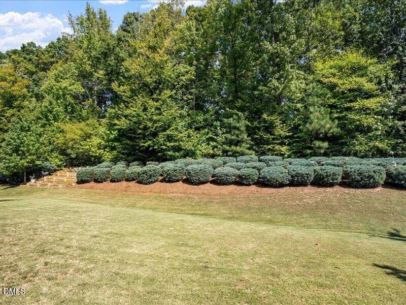 Backyard - 255 Empress Road, Hillsborough, NC 27278, Hillsborough