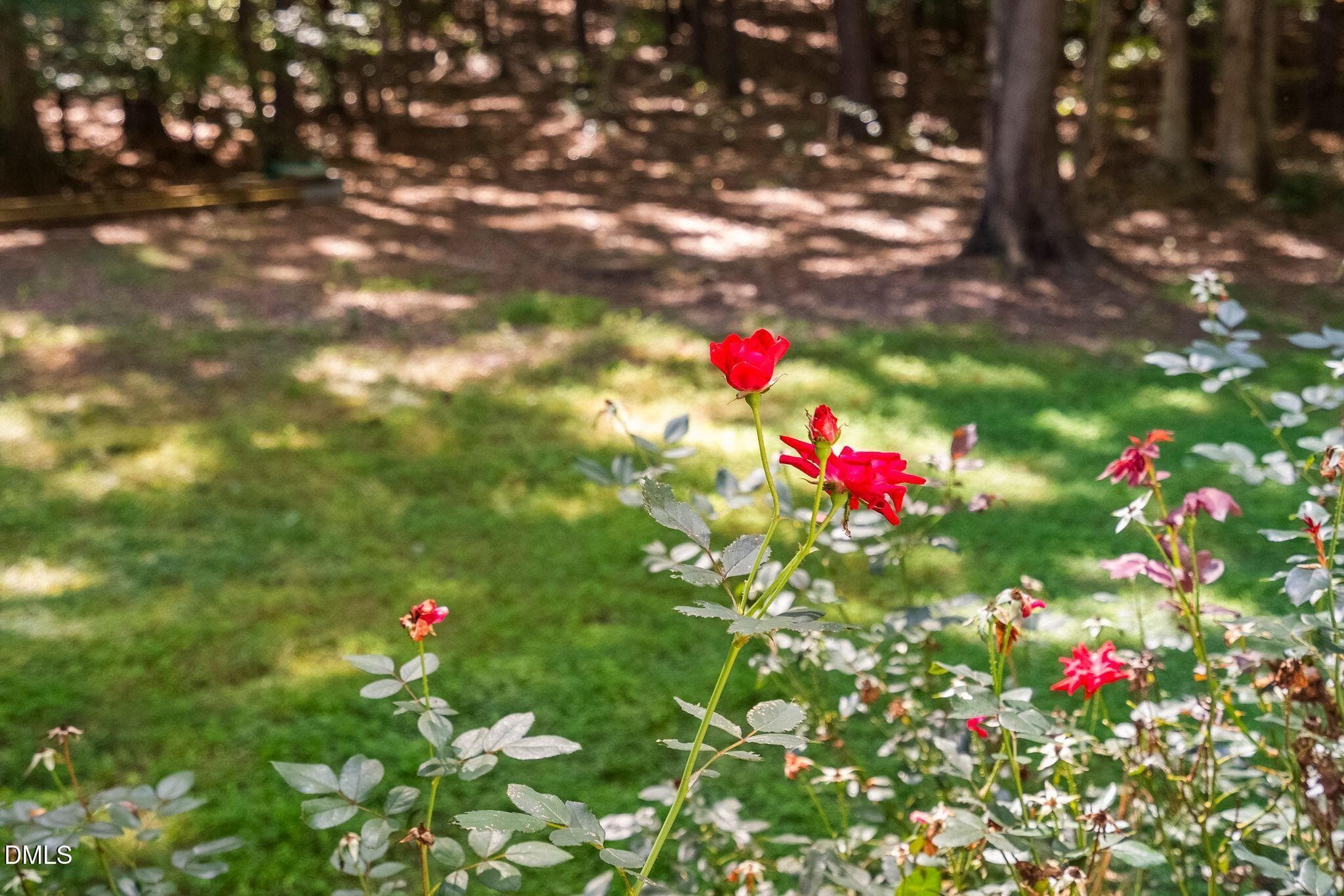 30_NJO03177 - 567 Timberknoll Lane, Wake Forest, NC 27587