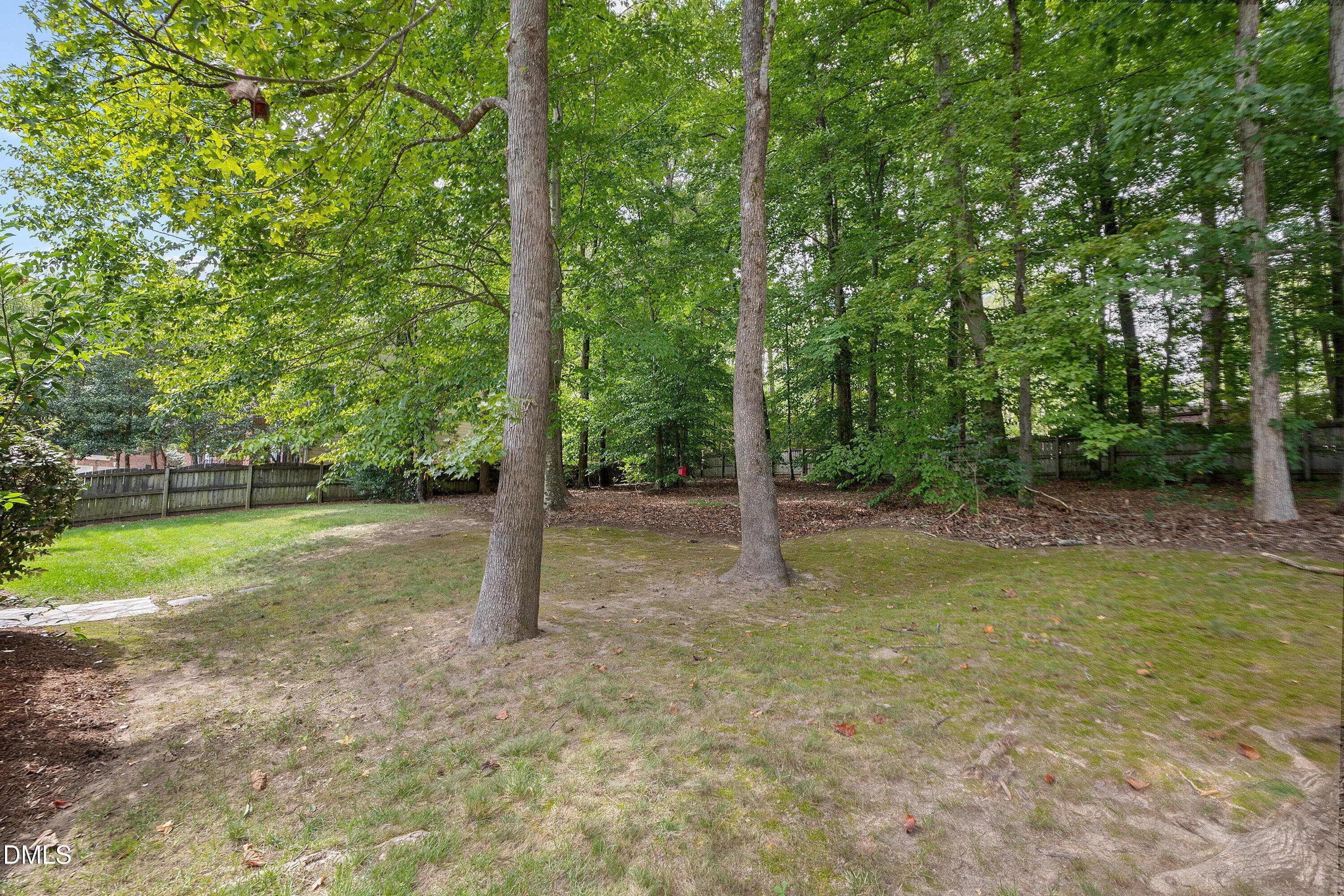 Yard - 3914 Sterling Ridge Lane, Durham, NC 27707