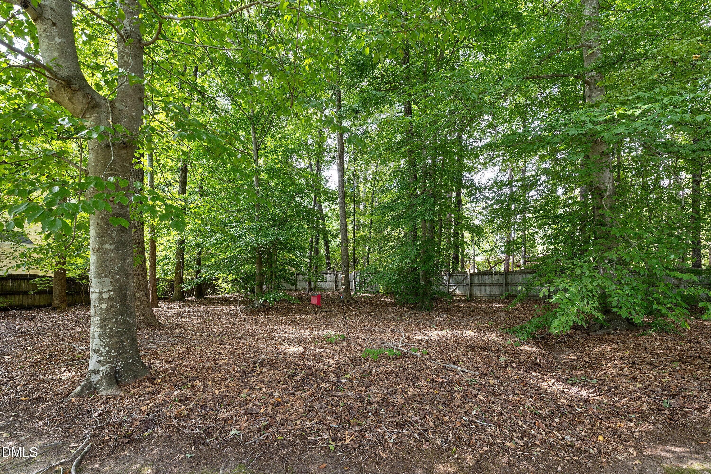 Yard - 3914 Sterling Ridge Lane, Durham, NC 27707