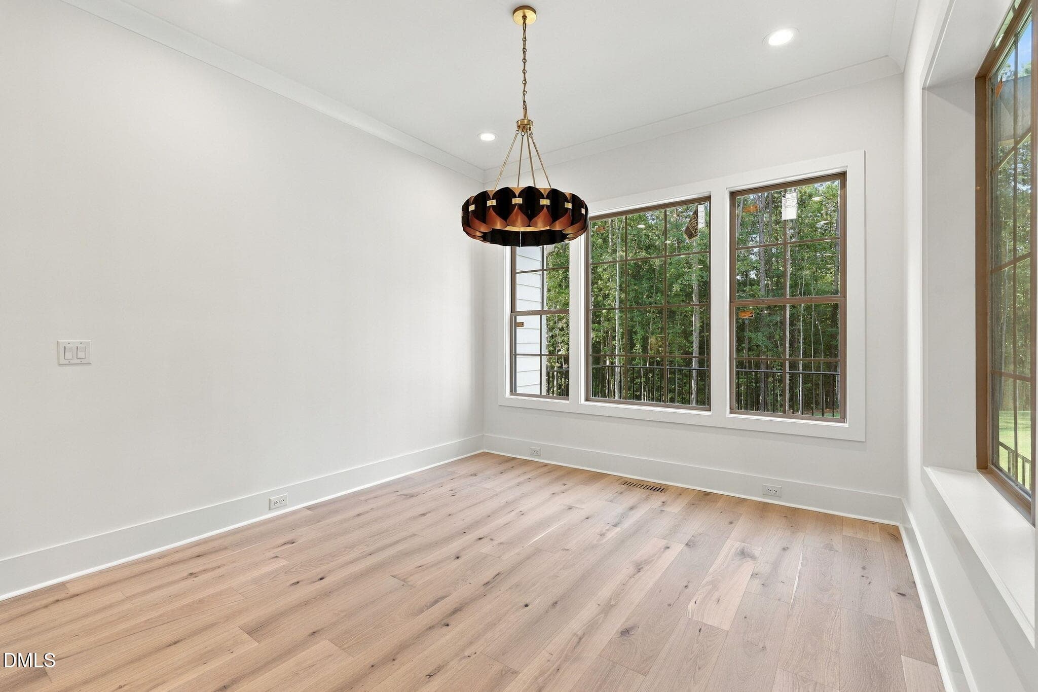 29-web-or-mls-IMG_1245 - 357 Black Caviar Way, Raleigh, NC 27603