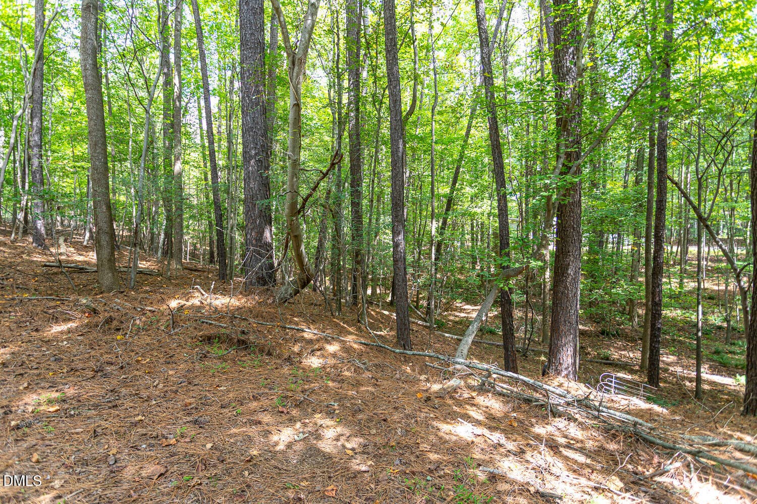 Backyard - 3162 Twig Court, Wake Forest, NC 27587, Wake Forest