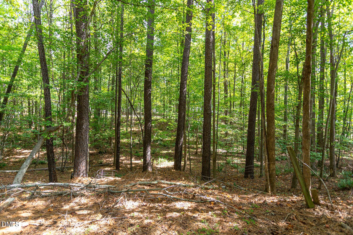 Private backyard - 3162 Twig Court, Wake Forest, NC 27587, Wake Forest