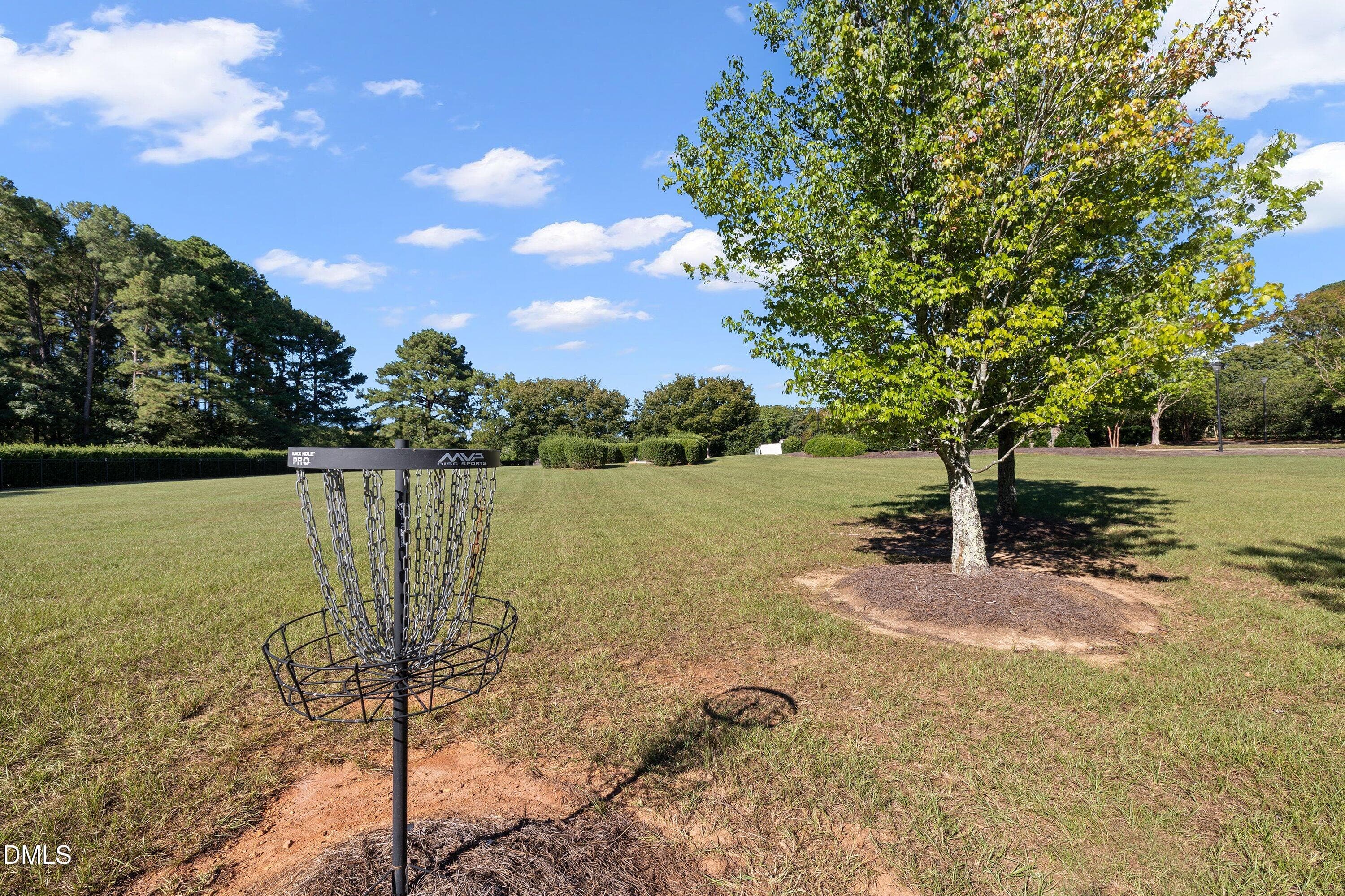 4604 White Chapel Way_7660 - 4604 White Chapel Way, Raleigh, NC 27615