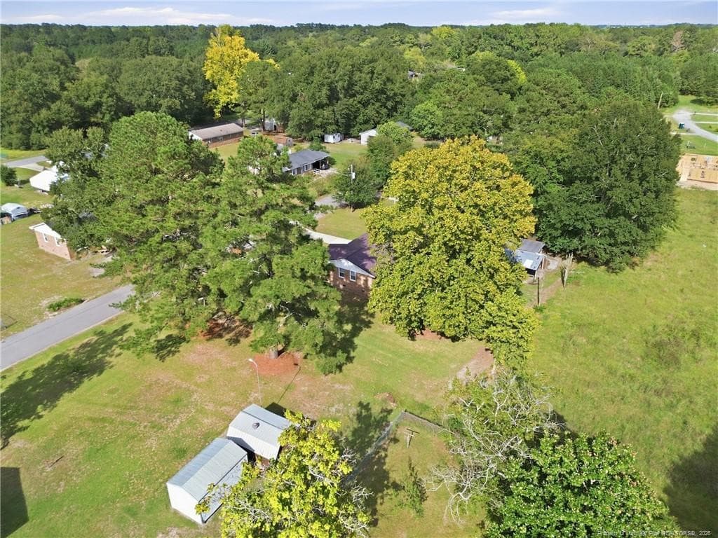 Photo 45 - 109 E Walnut Street, Bladenboro, NC 28320