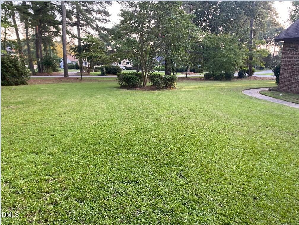 Yard_BL_Side yard after cut - 432 Dogwood Trail, Goldsboro, NC 27534