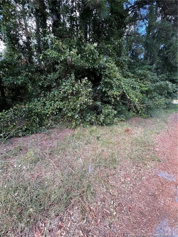 Photo 4 - 1100 Vass Road, Spring Lake, NC 28390