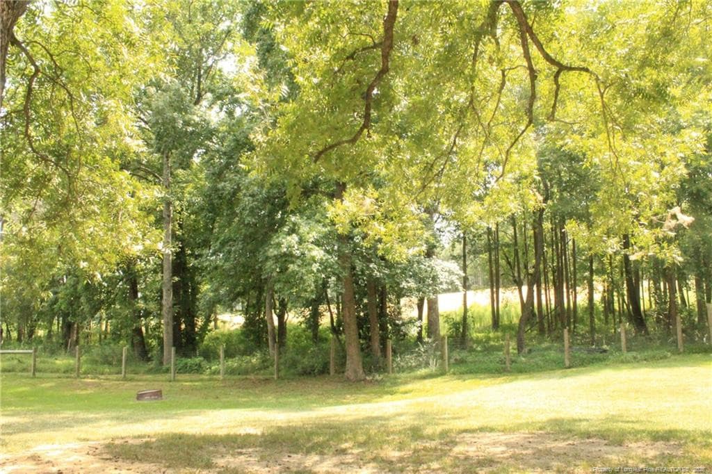 Photo 37 - 2096 HOLLY Springs Church Road, Broadway, NC 27505
