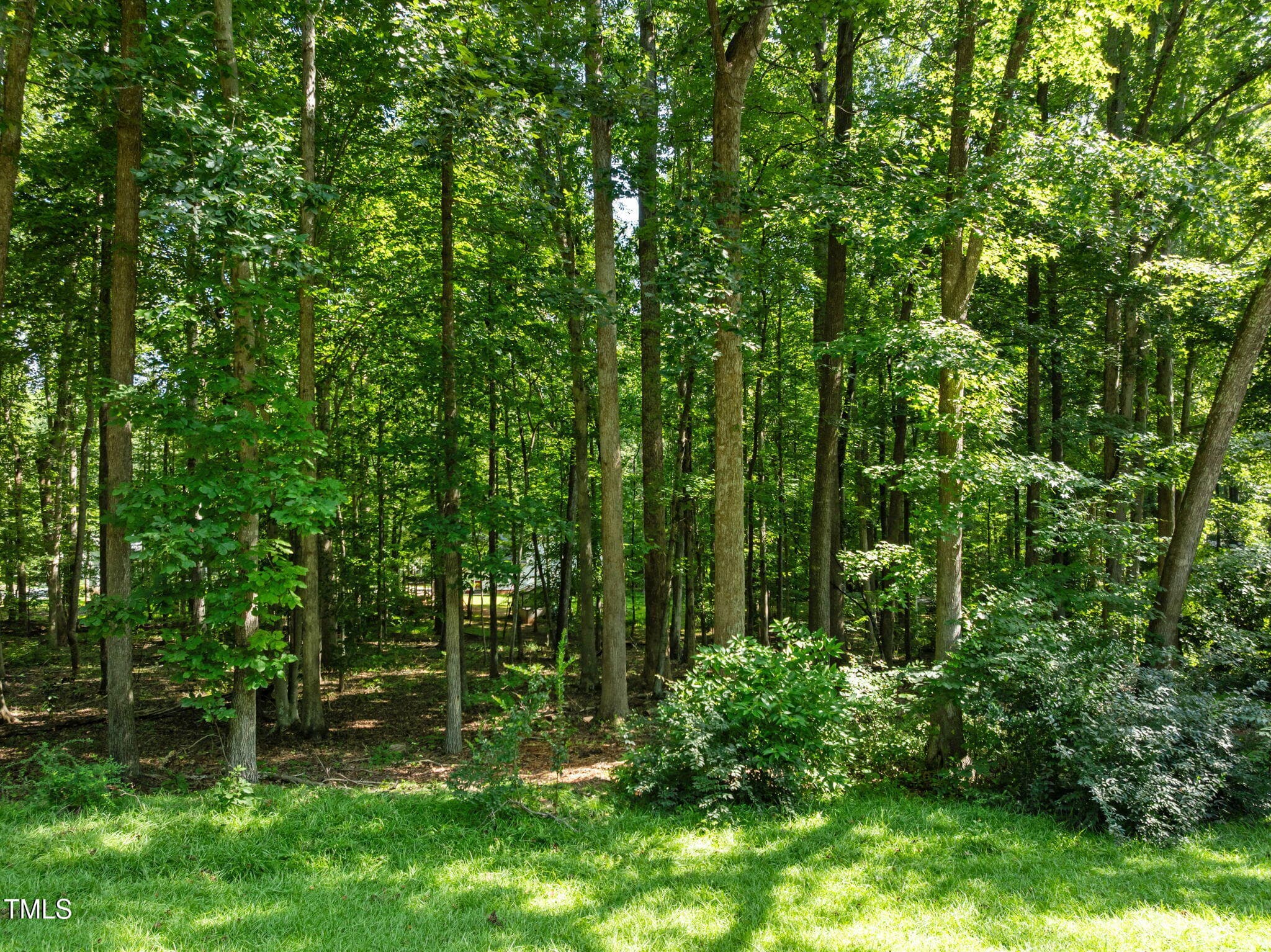 3-web-or-mls-DJI_0645 - 605 Canotage Court, Cedar Grove, NC 27231
