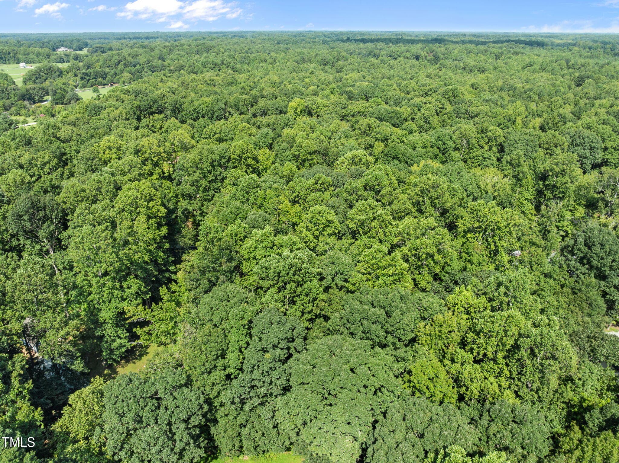 6-web-or-mls-DJI_0648 - 605 Canotage Court, Cedar Grove, NC 27231