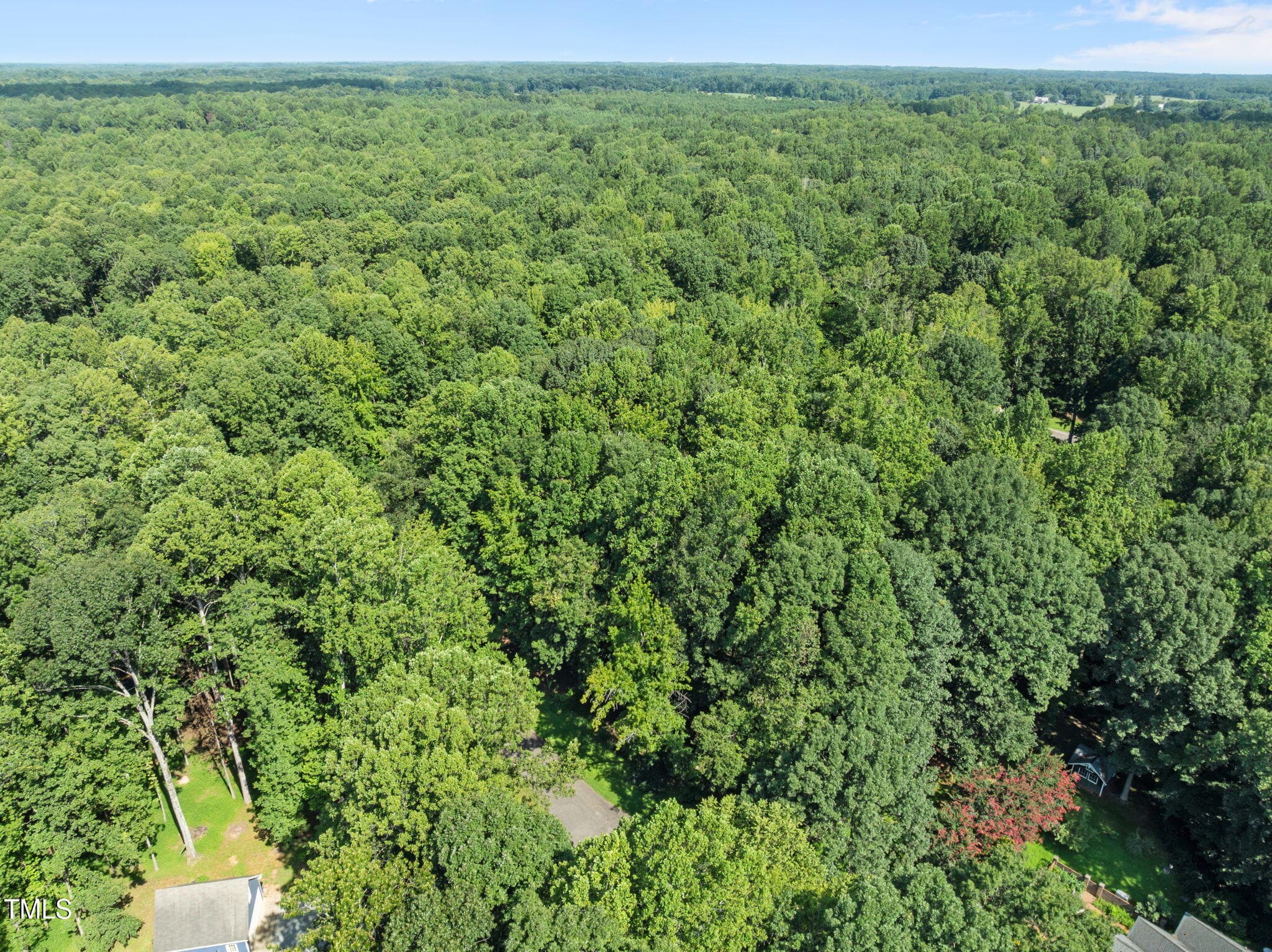 4-web-or-mls-DJI_0646 - 605 Canotage Court, Cedar Grove, NC 27231