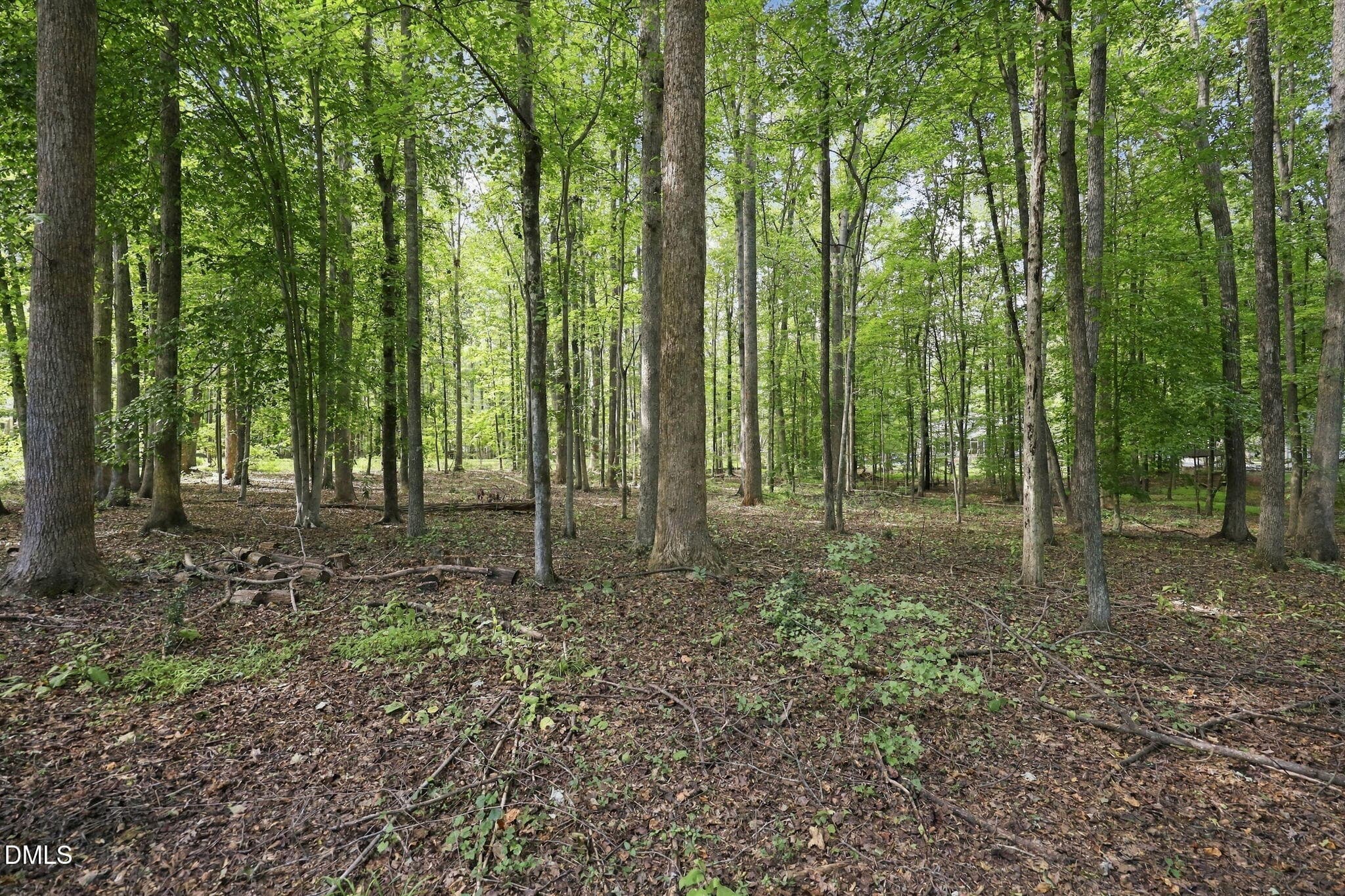28-web-or-mls-IMG_0048 - 605 Canotage Court, Cedar Grove, NC 27231