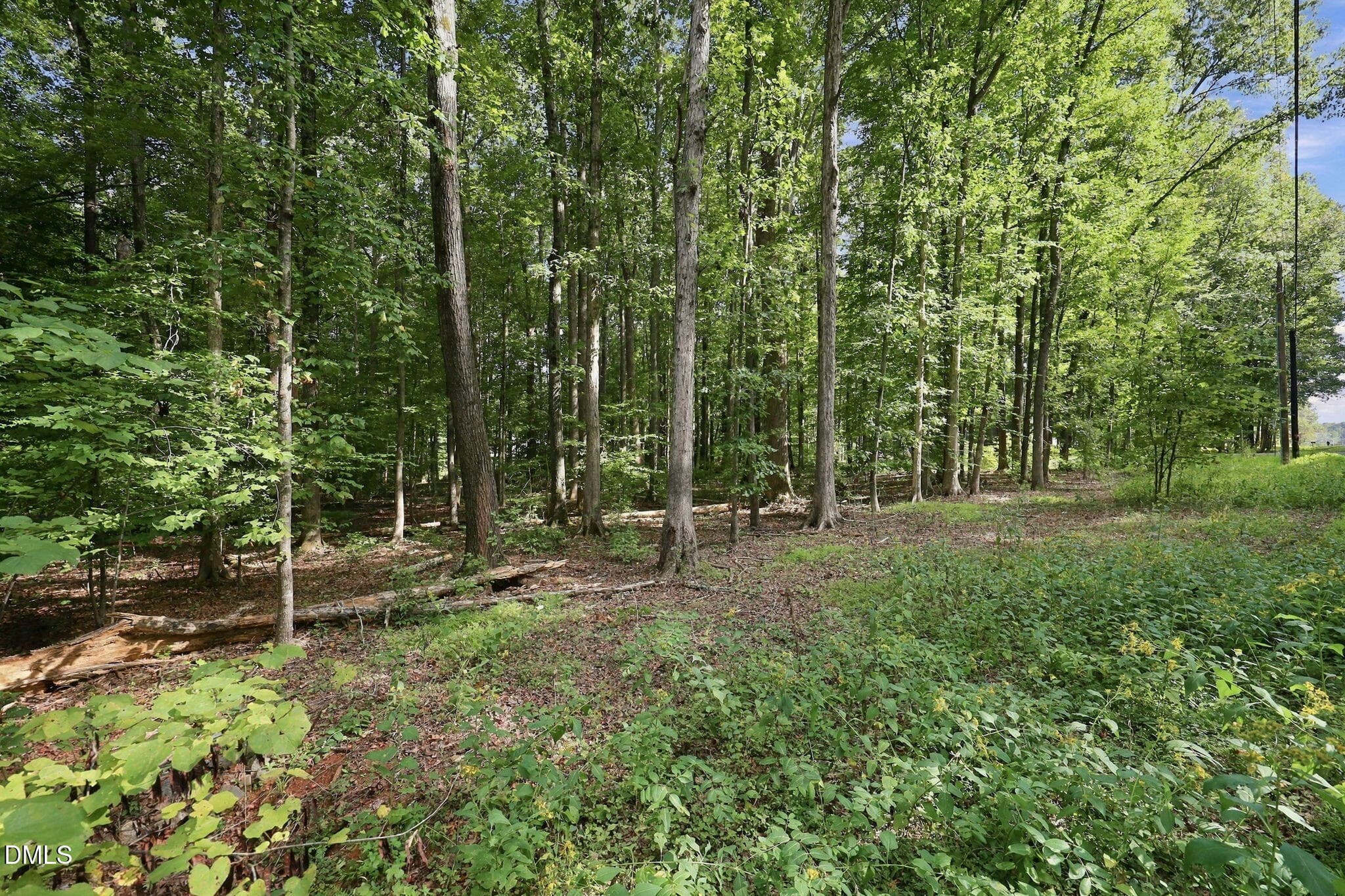 23-web-or-mls-IMG_0043 - 605 Canotage Court, Cedar Grove, NC 27231