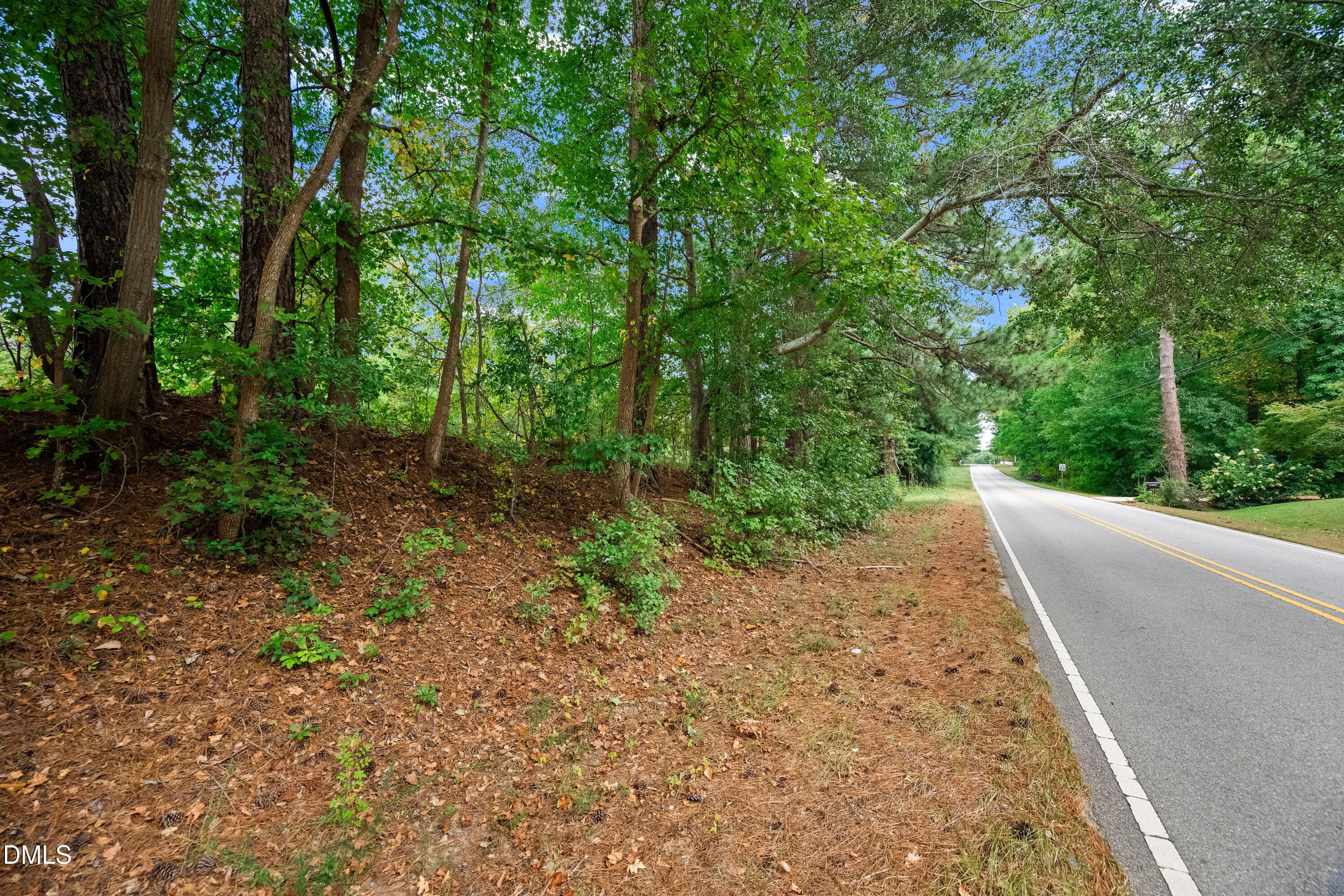DSC_3088 - 1612 Pagan Road, Raleigh, NC 27603