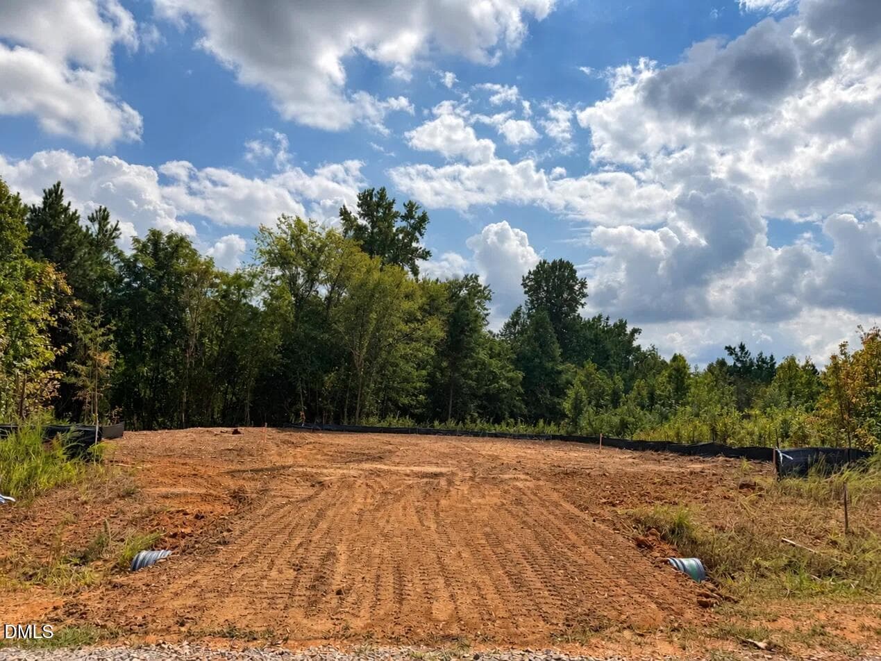 SR 19 cleared - 51 Starlet Rdg Way, Clayton, NC 27520