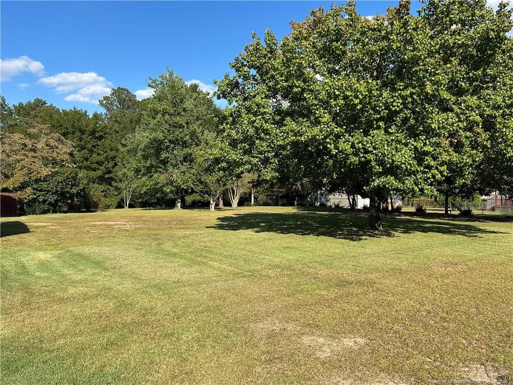 Extra Lot .45 acre - 754 W Horne Road, Rowland, NC 28383