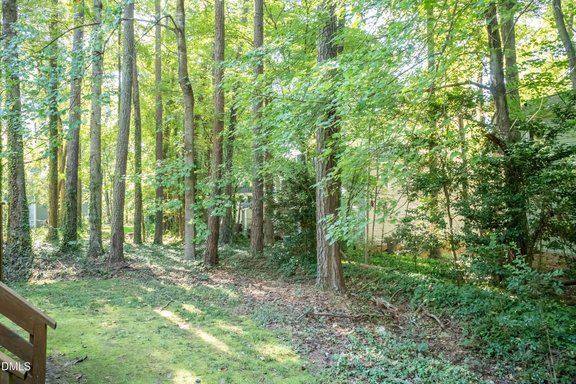 Back Yard 02 - 110 Cimmaron Court, Cary, NC 27511