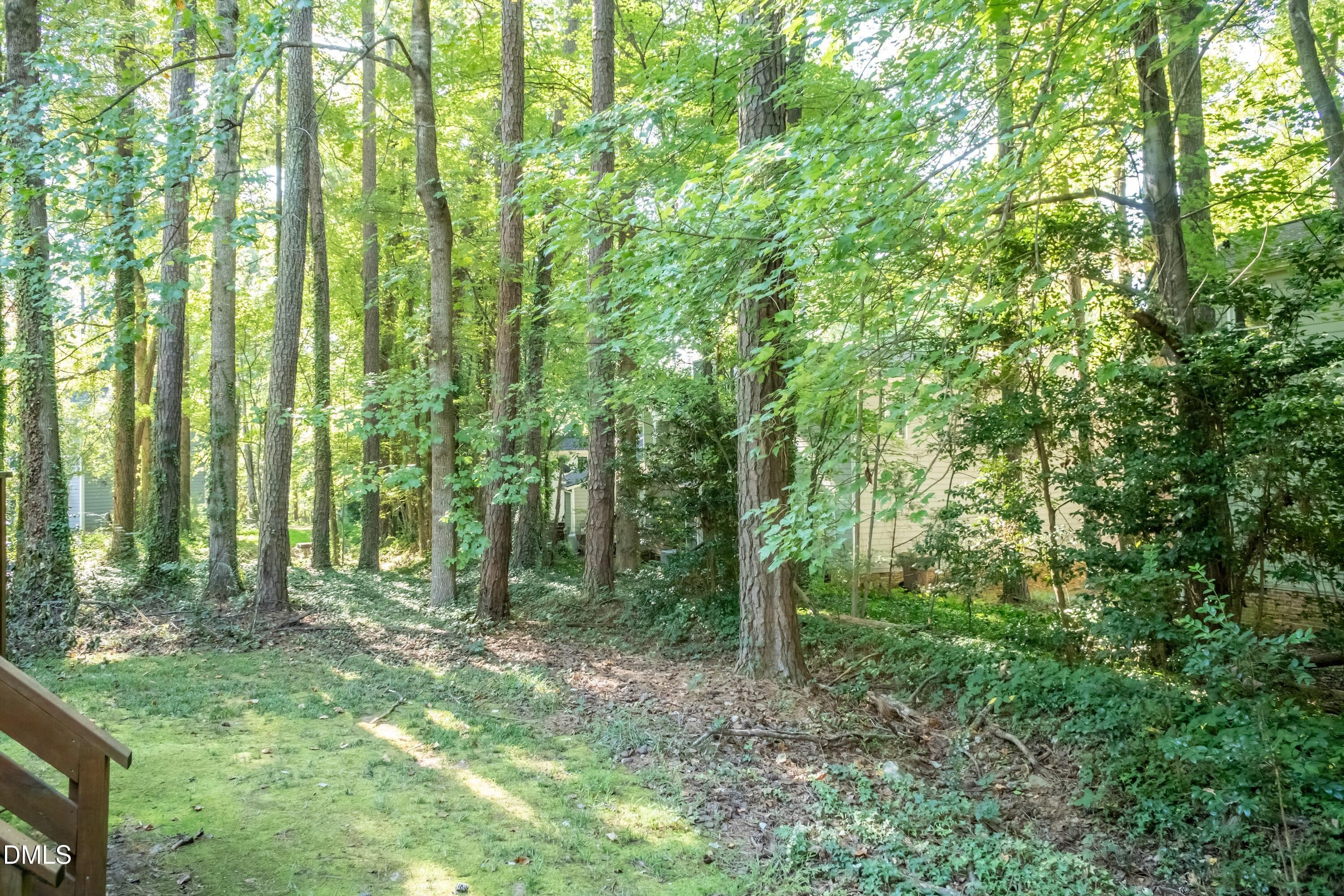 Back Yard 02 - 110 Cimmaron Court, Cary, NC 27511