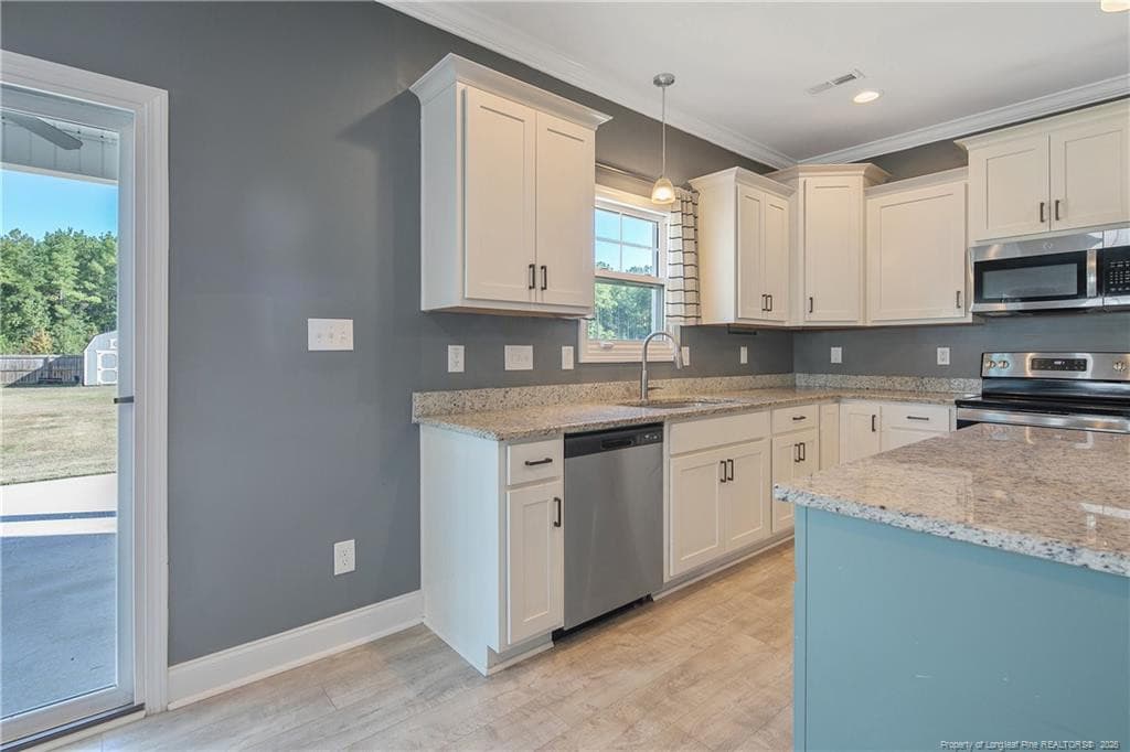 Photo 10 - 372 Josey Williams Road, Erwin, NC 28339