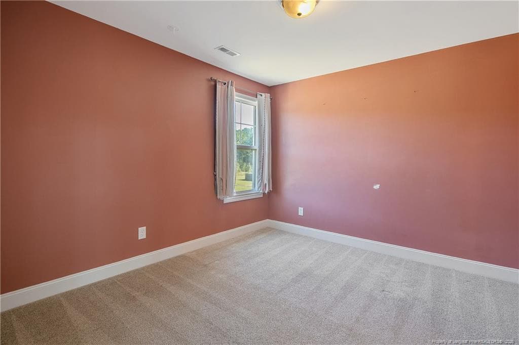 Photo 18 - 372 Josey Williams Road, Erwin, NC 28339
