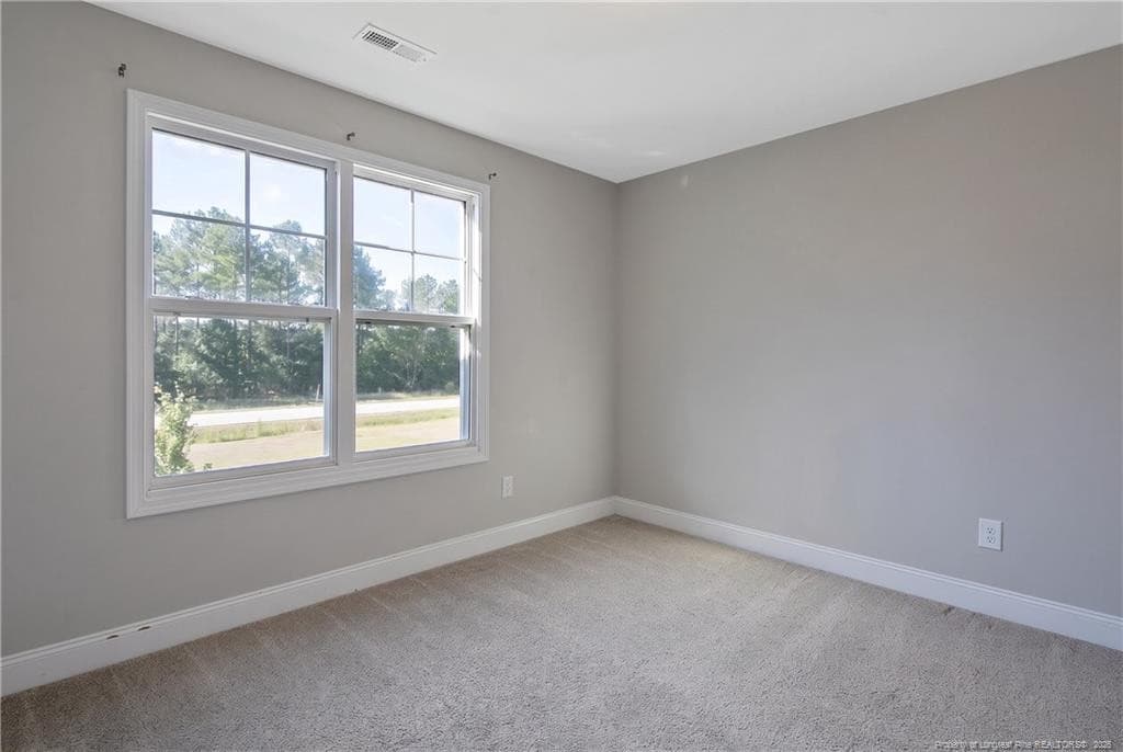 Photo 22 - 372 Josey Williams Road, Erwin, NC 28339, Erwin
