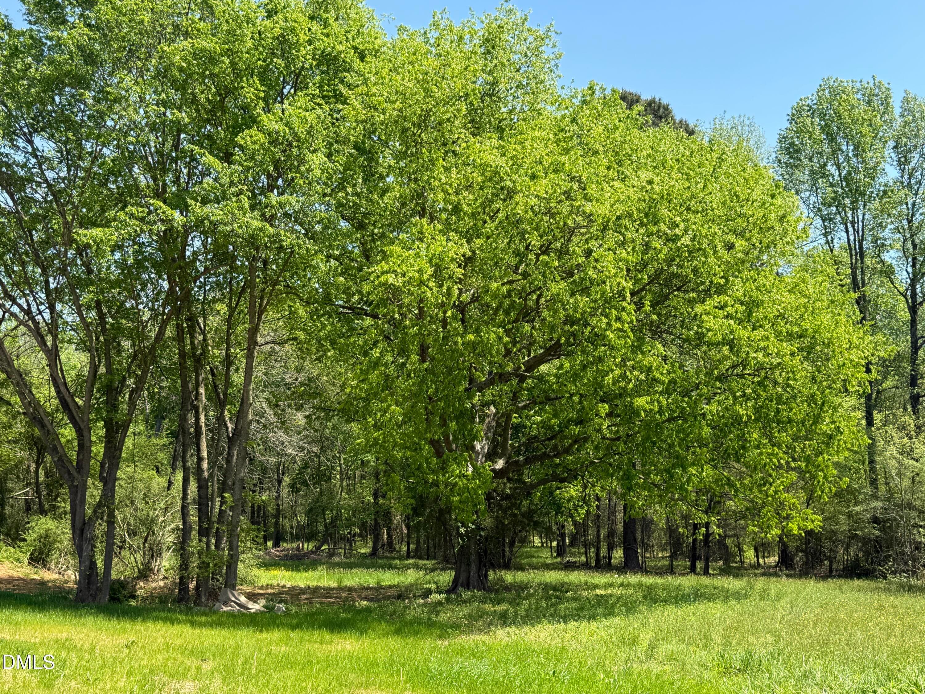 yard - 5545 Silk Hope Gum Springs Road, Siler City, NC 27344