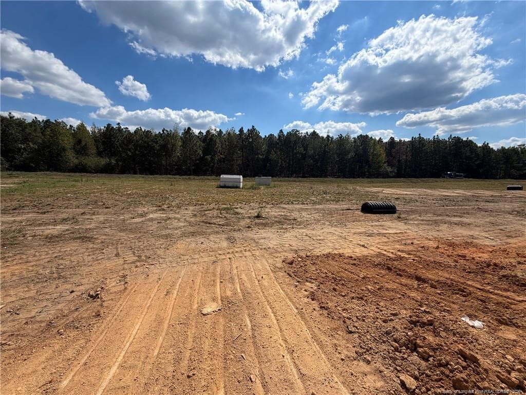 Photo taken: 9/30/2026 - 411 Thorntons Creek Drive, Erwin, NC 28339, Erwin